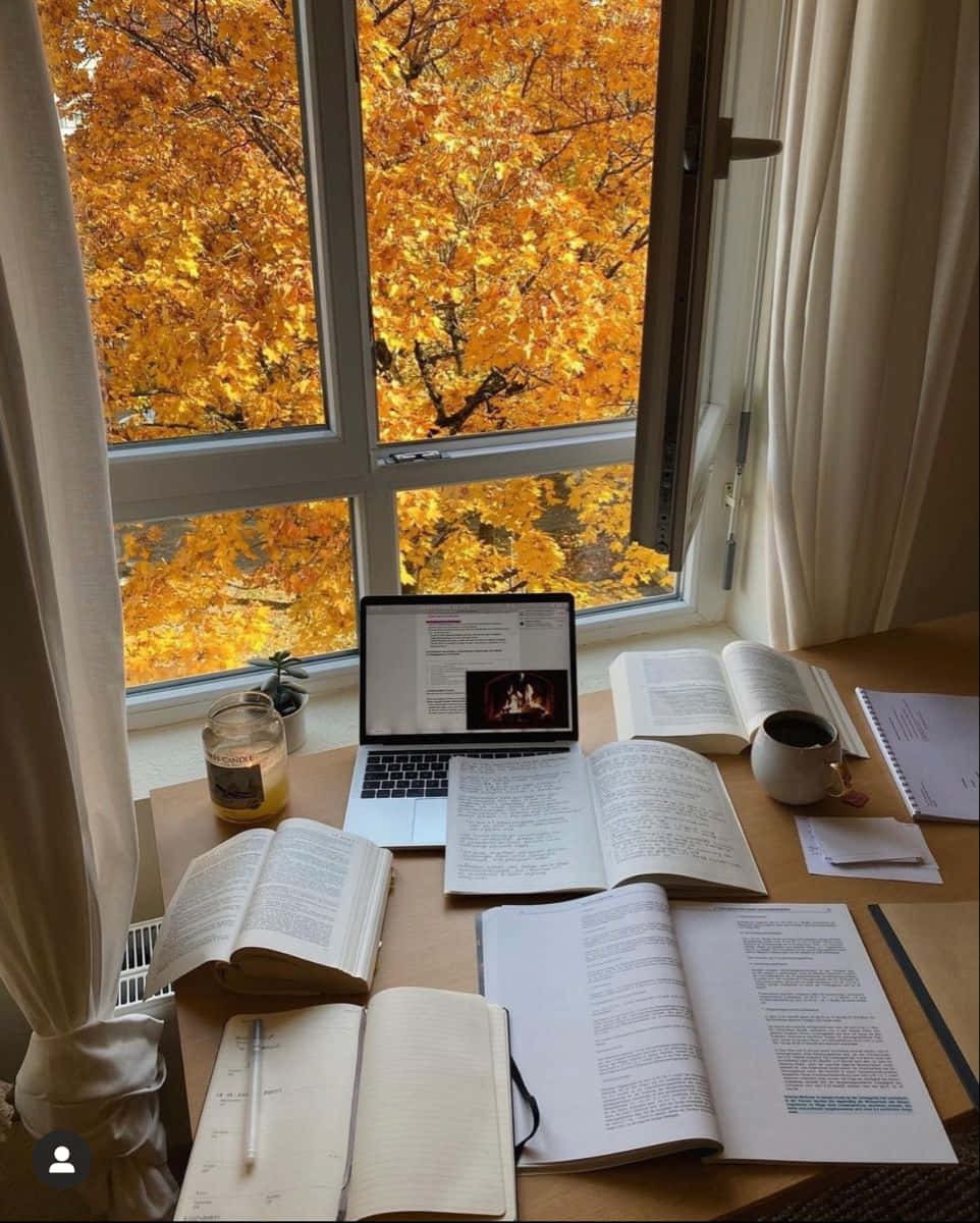 wooden desk, open books, notebooks, SD Phone Wallpaper