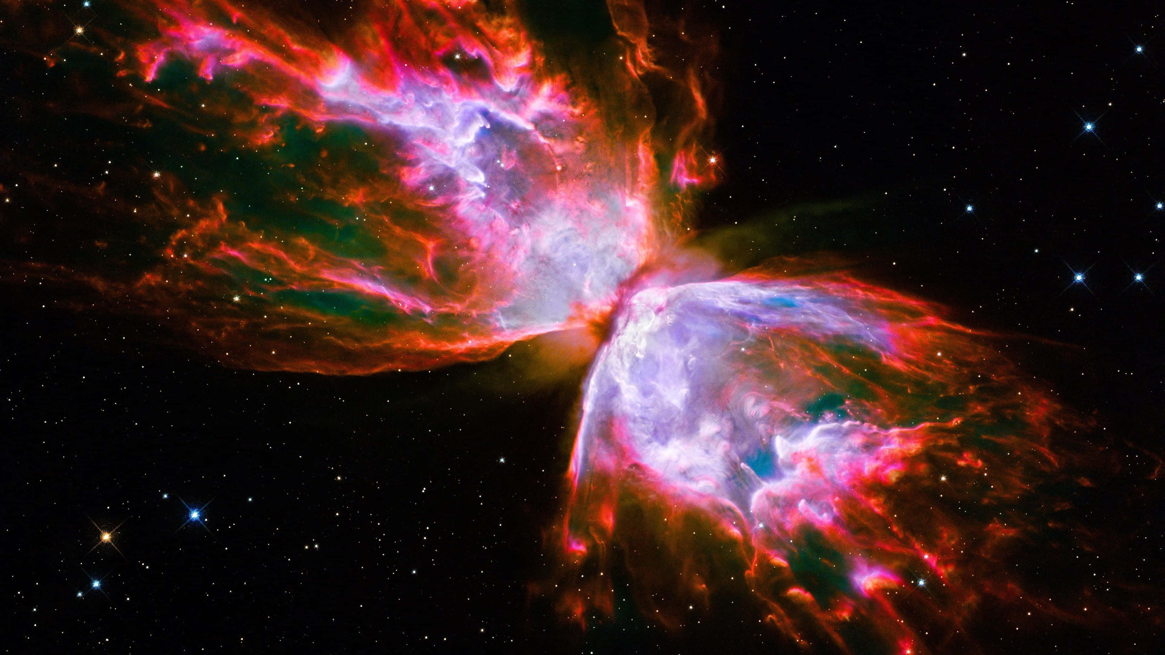 butterfly nebula, fiery reds, pinks, 4K Desktop Wallpaper