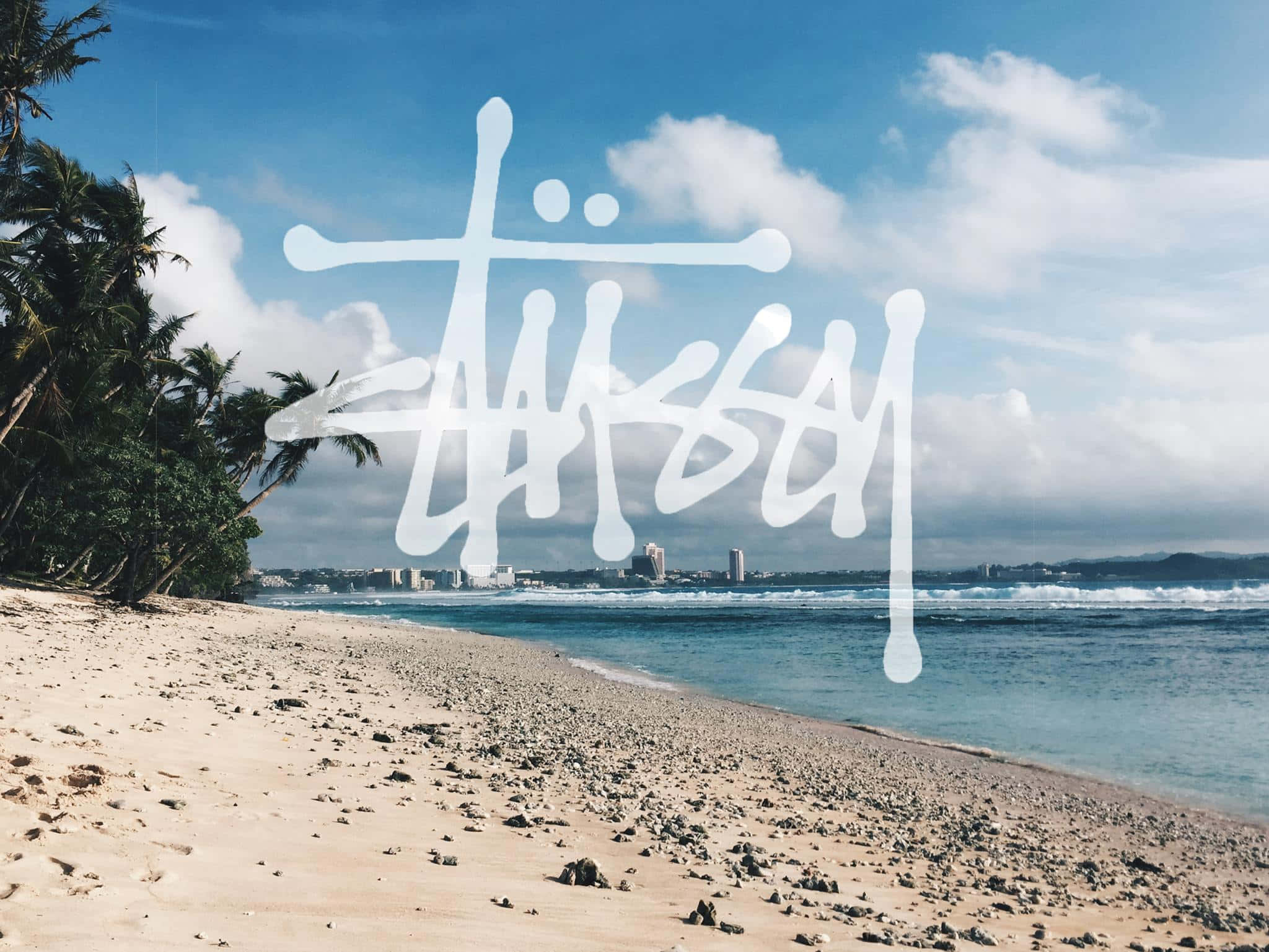 Stussy, beach, palm trees, Full HD Desktop Wallpaper