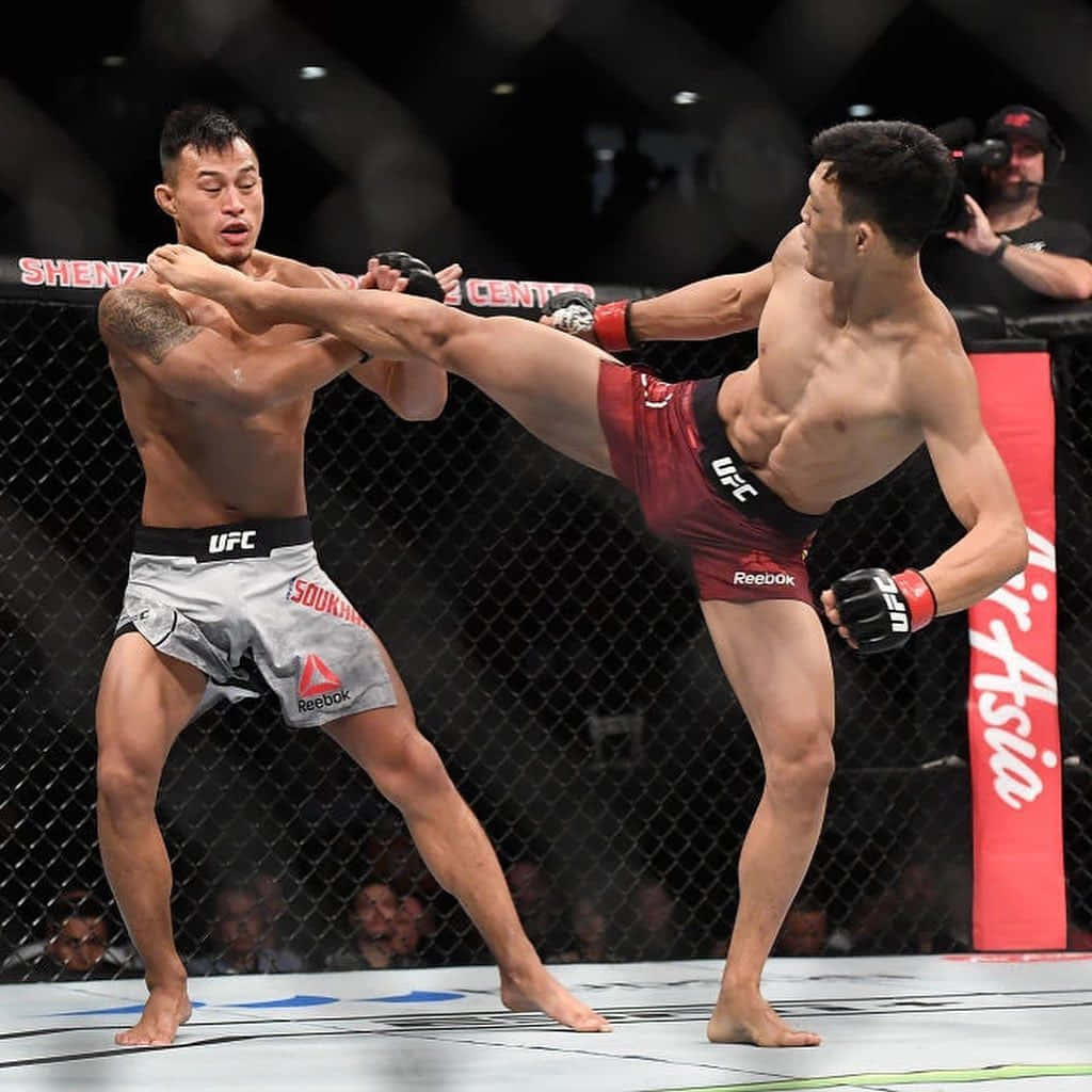 Su Mudaerji, MMA fighters, cage, SD Desktop Wallpaper