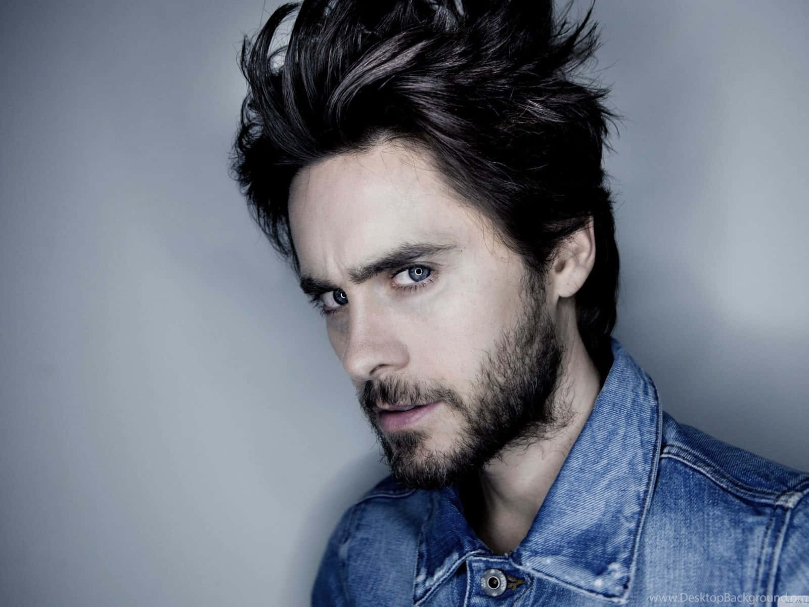Suave Man In Denim, denim jacket, intense blue eyes, HD Desktop Wallpaper
