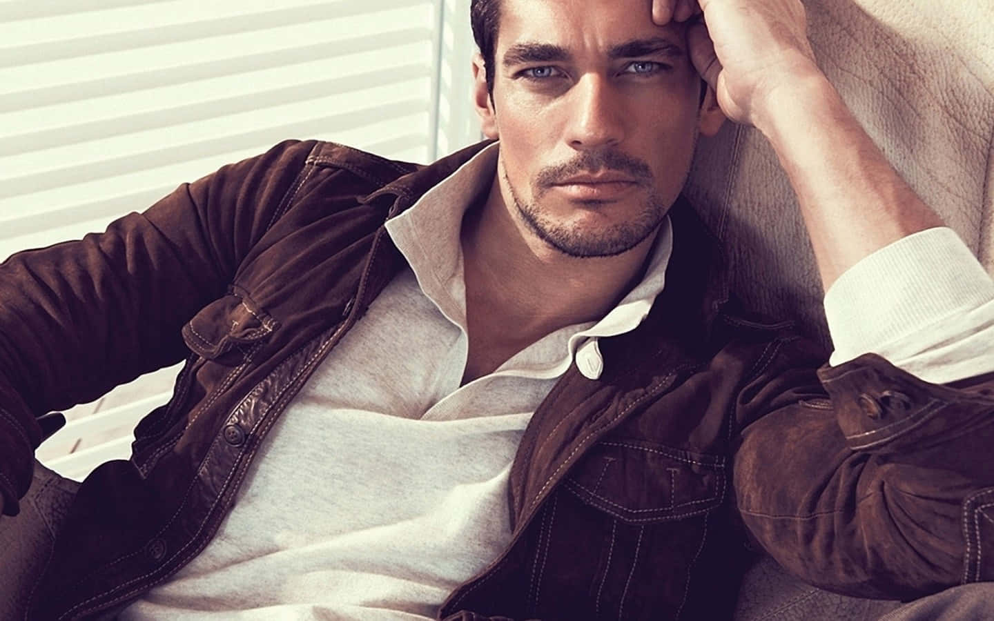 Suave, handsome model, couch, HD Desktop Wallpaper