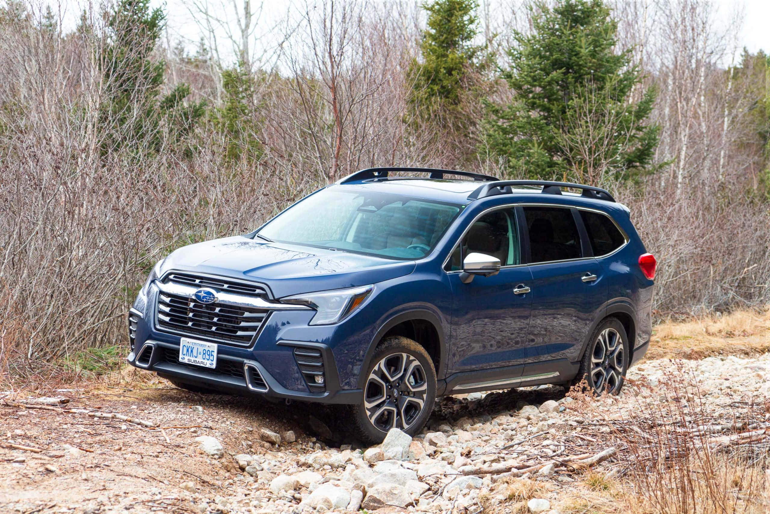 2021 Subaru Ascent, blue, rocky forest trail, 2K Desktop Wallpaper