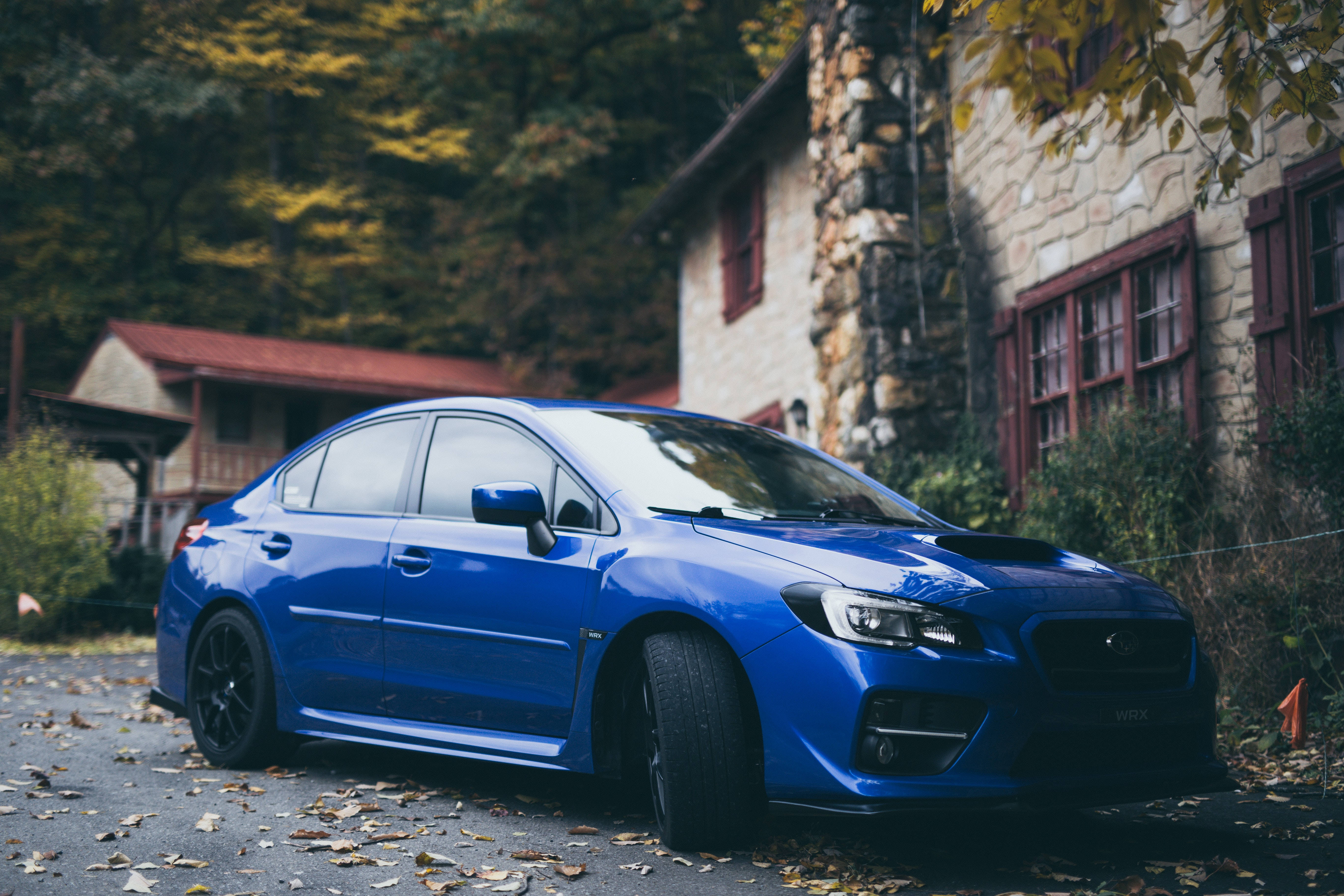 Subaru WRX STI, vibrant blue, leaf-strewn driveway, 5K Desktop Wallpaper