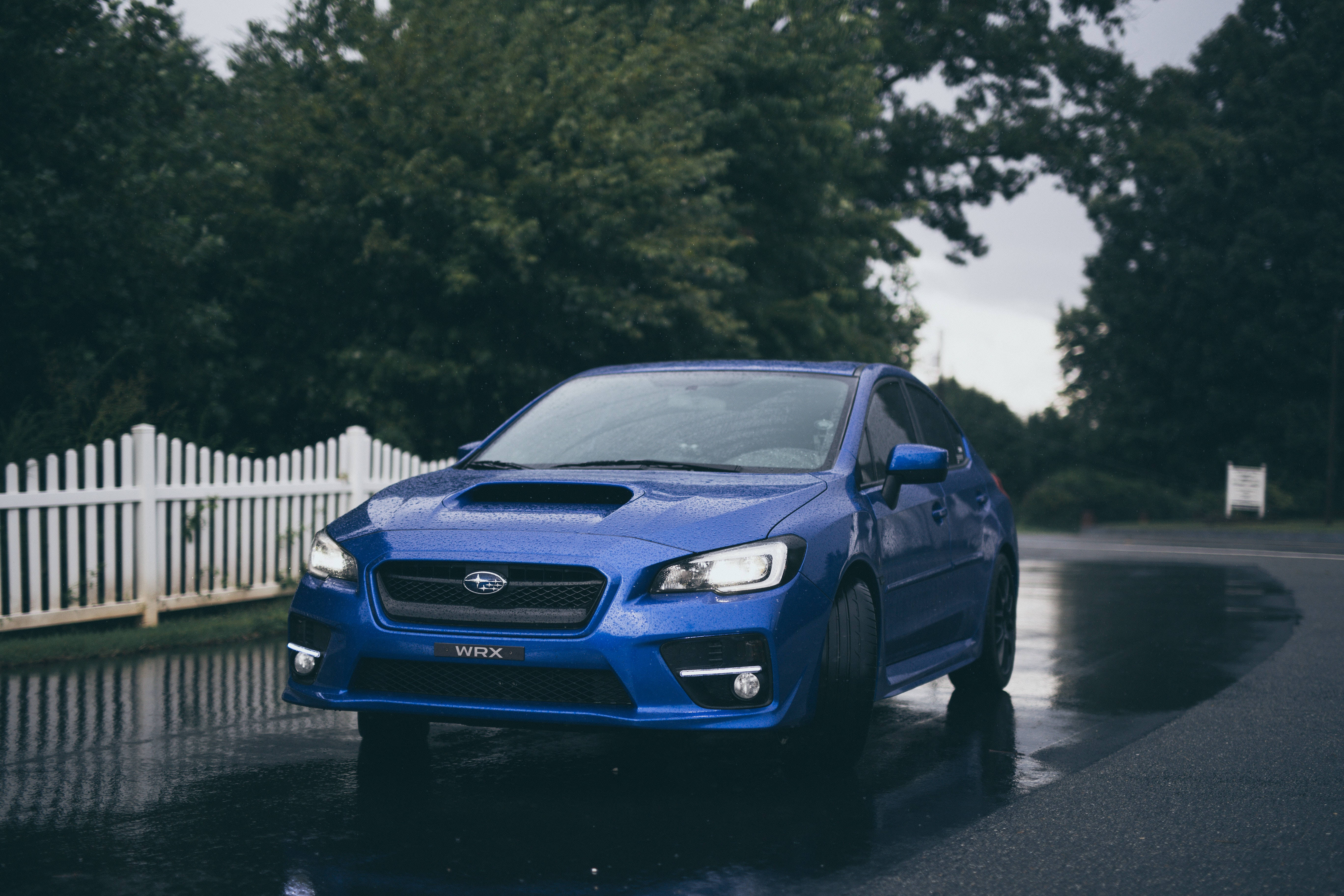 Subaru WRX STI, vibrant blue, wet road, 5K Desktop Wallpaper