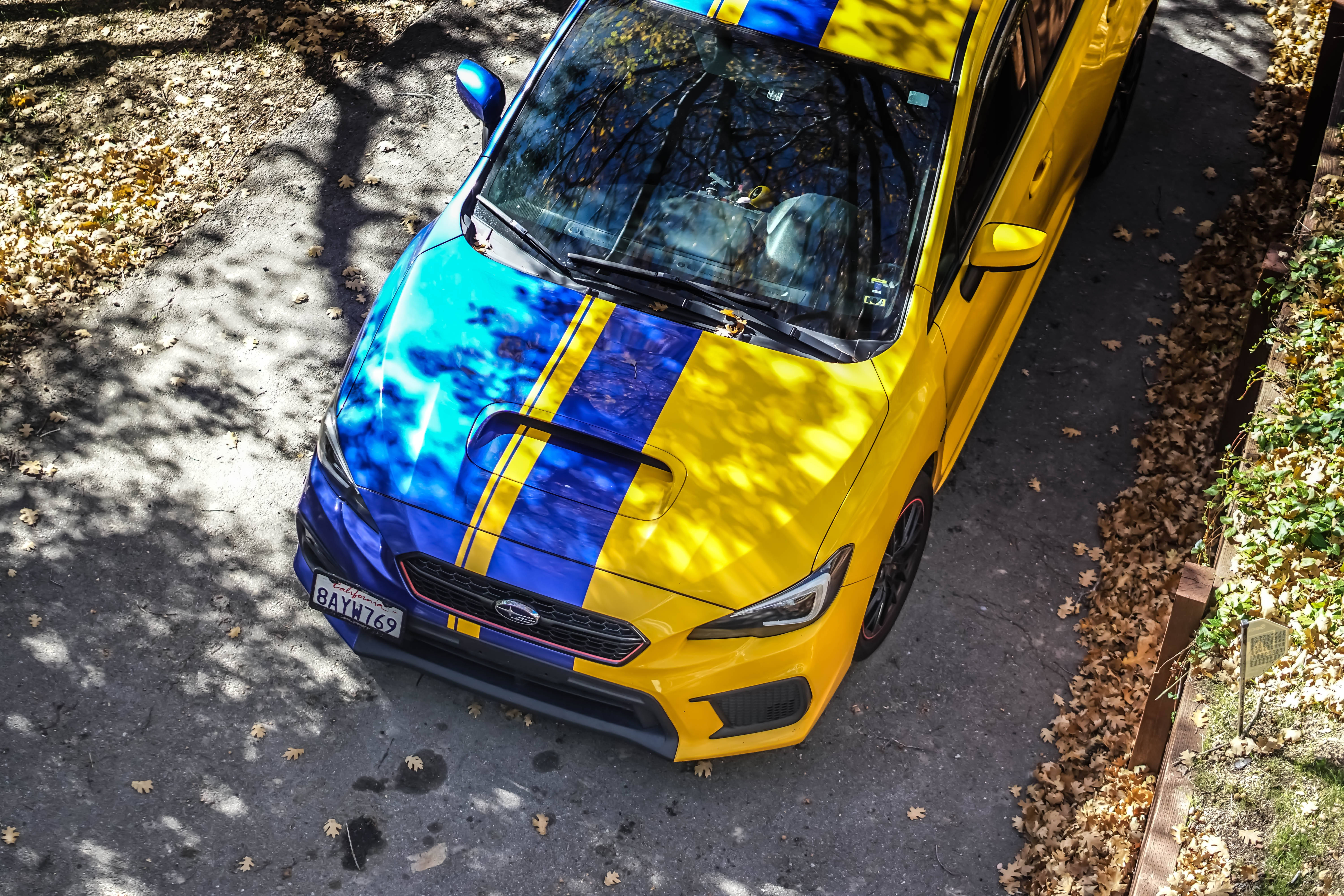 Subaru WRX STI, yellow and blue, leaf-strewn driveway, 5K Desktop Wallpaper