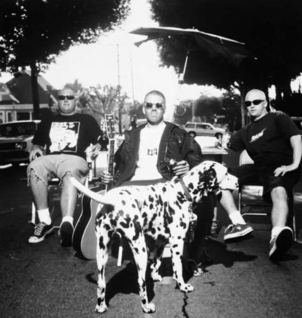 dalmatian, guitar, umbrella, SD Phone Wallpaper