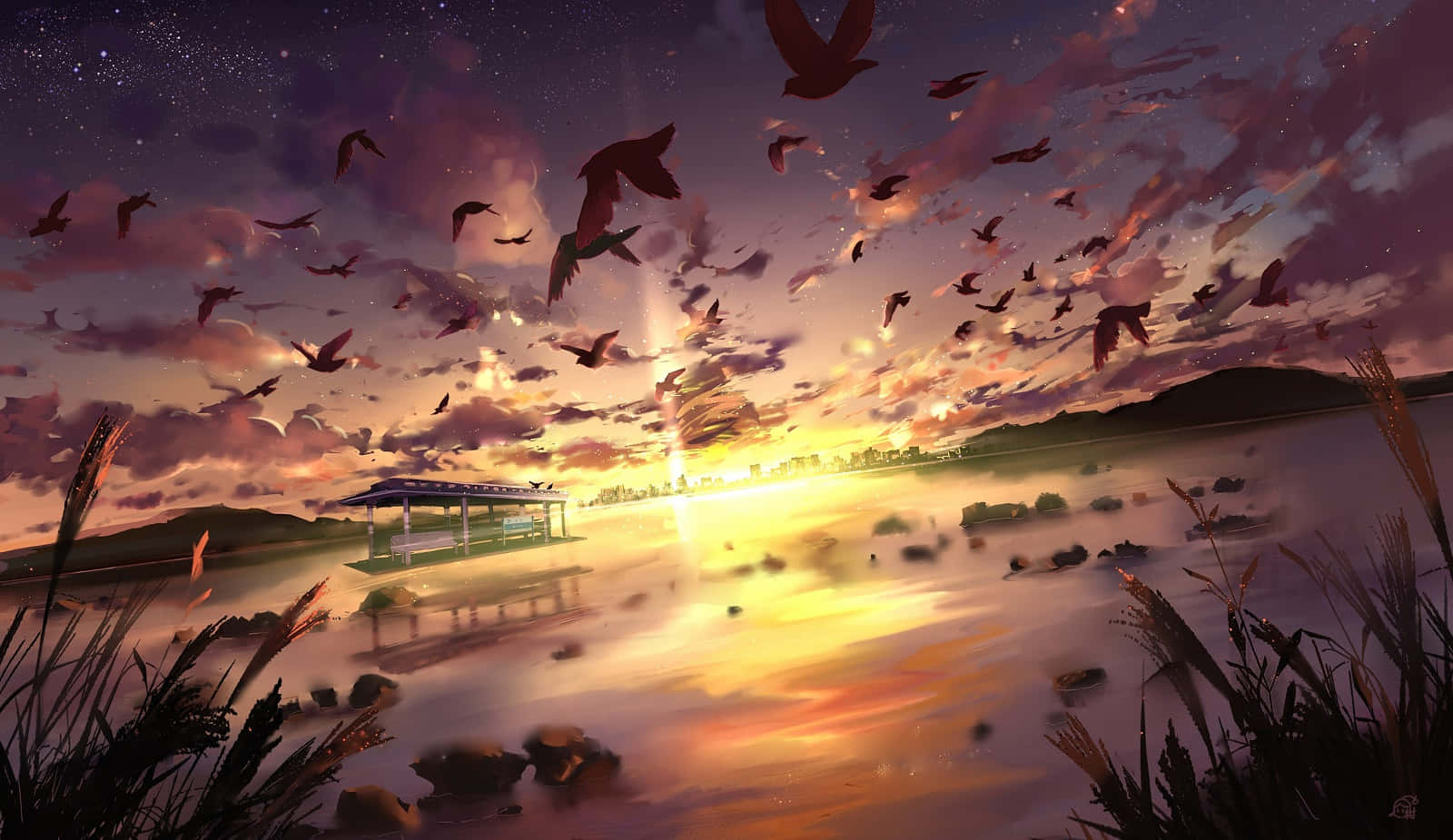 flock of birds, tranquil lake, sunset, HD Desktop Wallpaper