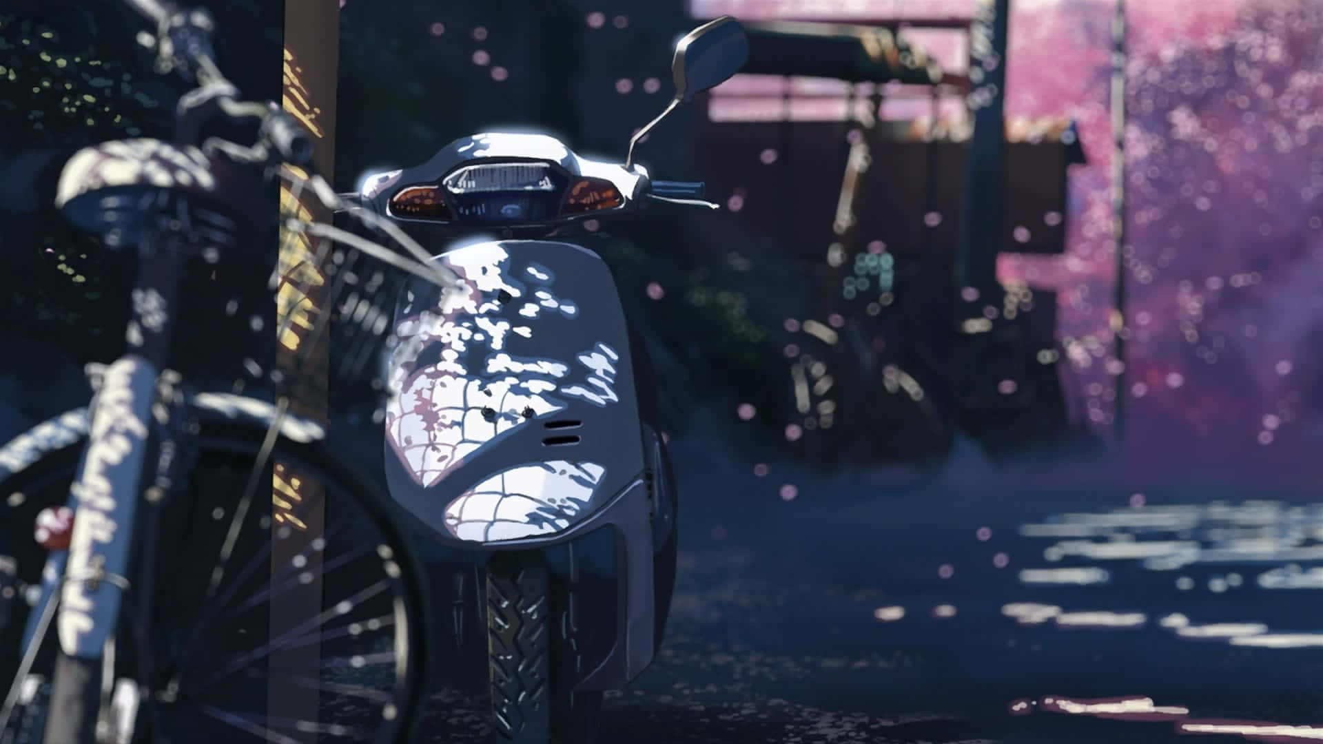 silver scooter, bicycle, pink cherry blossom petals, Full HD Desktop Wallpaper