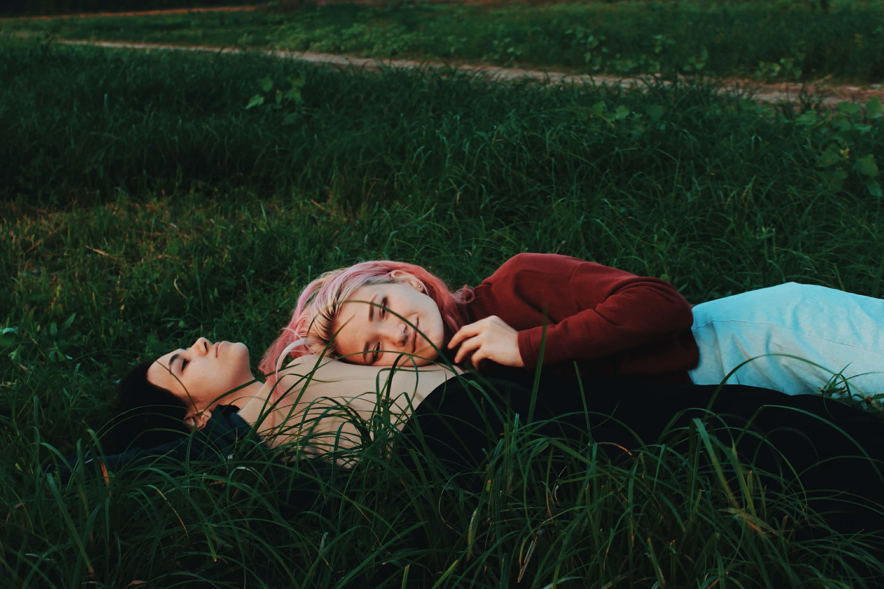 Romantic Mujeres Lesbianas, golden hour, tall grass, 2K Desktop Wallpaper