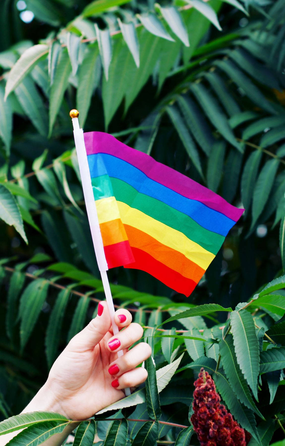 rainbow flag, red nail polish, lush green foliage, HD Phone Wallpaper