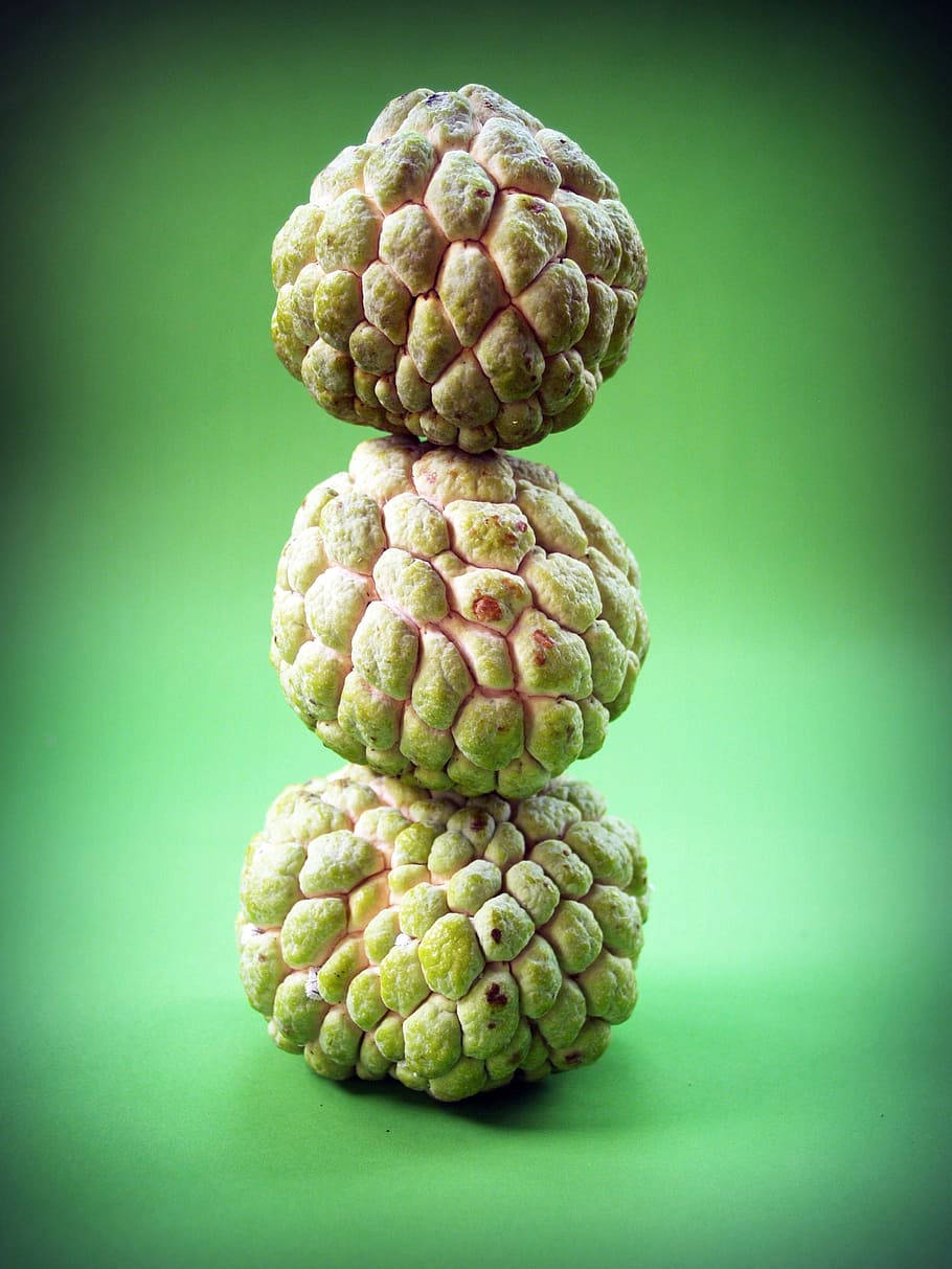 Sugar Apple, green custard apples, soft gradient green background, SD Phone Wallpaper