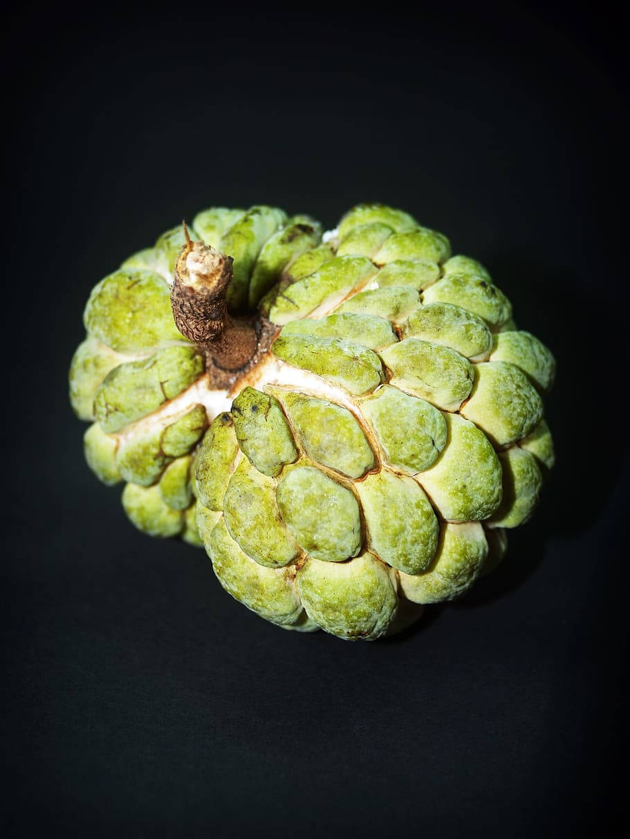 Sugar Apple, fruit on stem, green custard apple, SD Phone Wallpaper