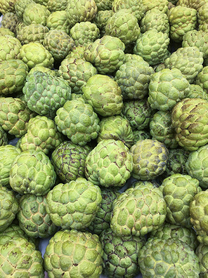 Sugar Apple, cherimoyas, fresh green, SD Phone Wallpaper