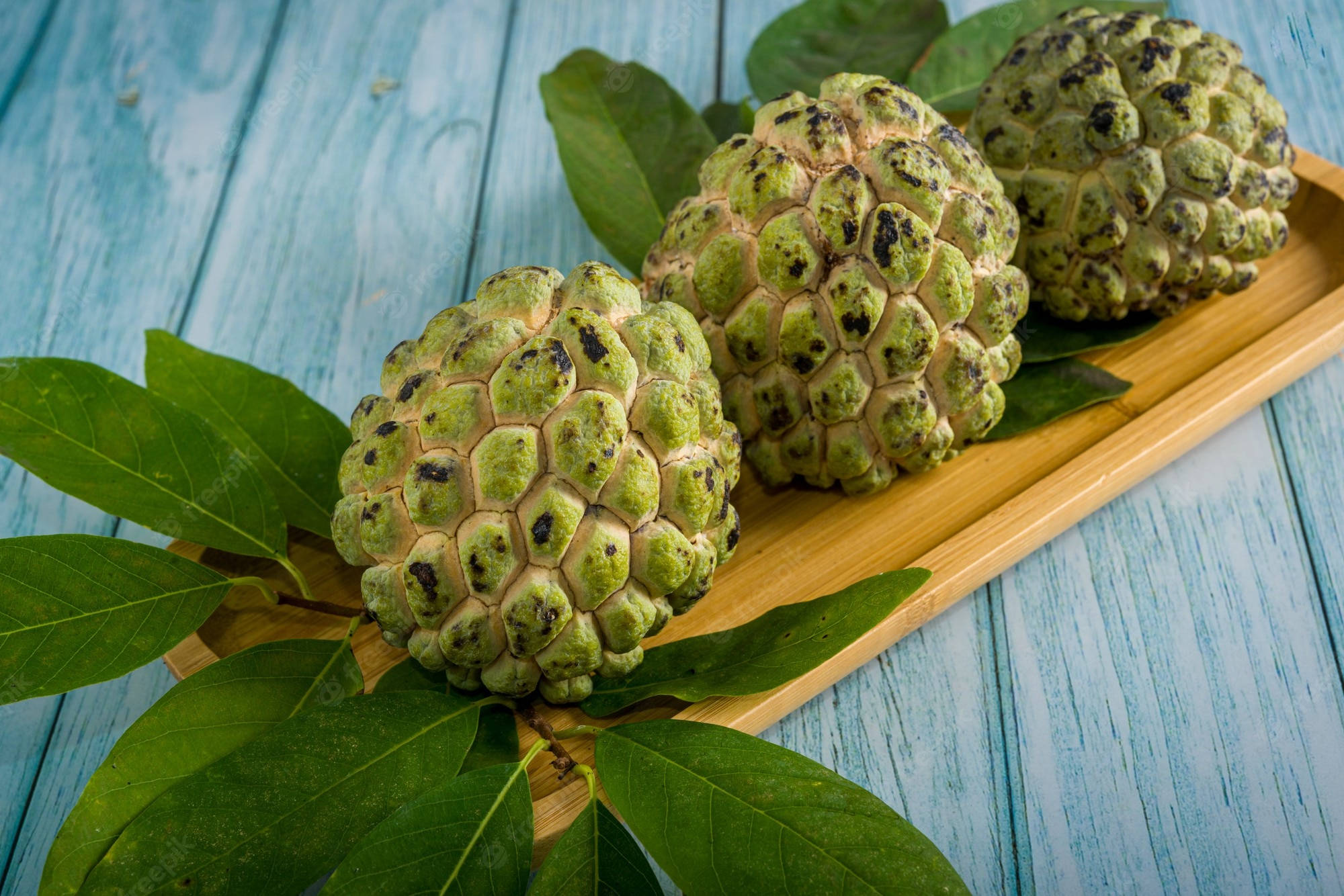 Sugar Apple, spiky green sweetsop fruits, dark spots, Full HD Desktop Wallpaper