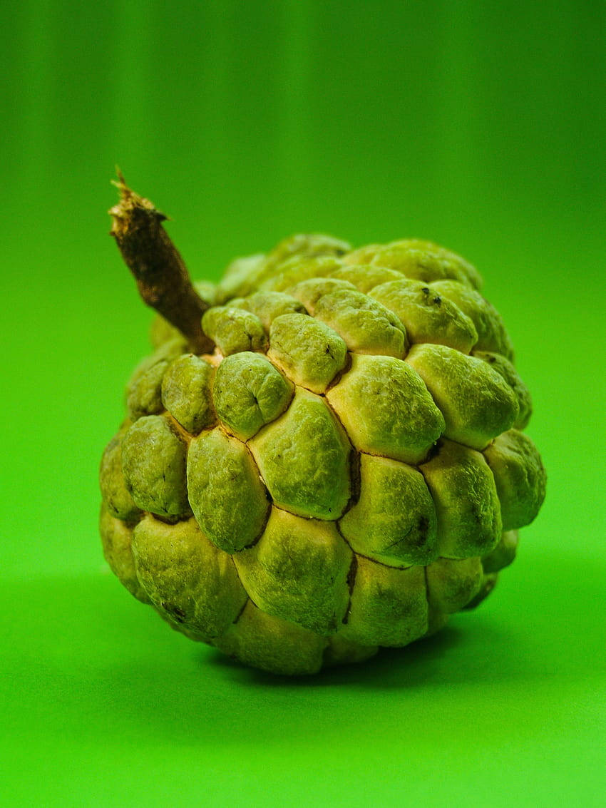 Sugar Apple, green custard apple, bumpy textured skin, SD Phone Wallpaper