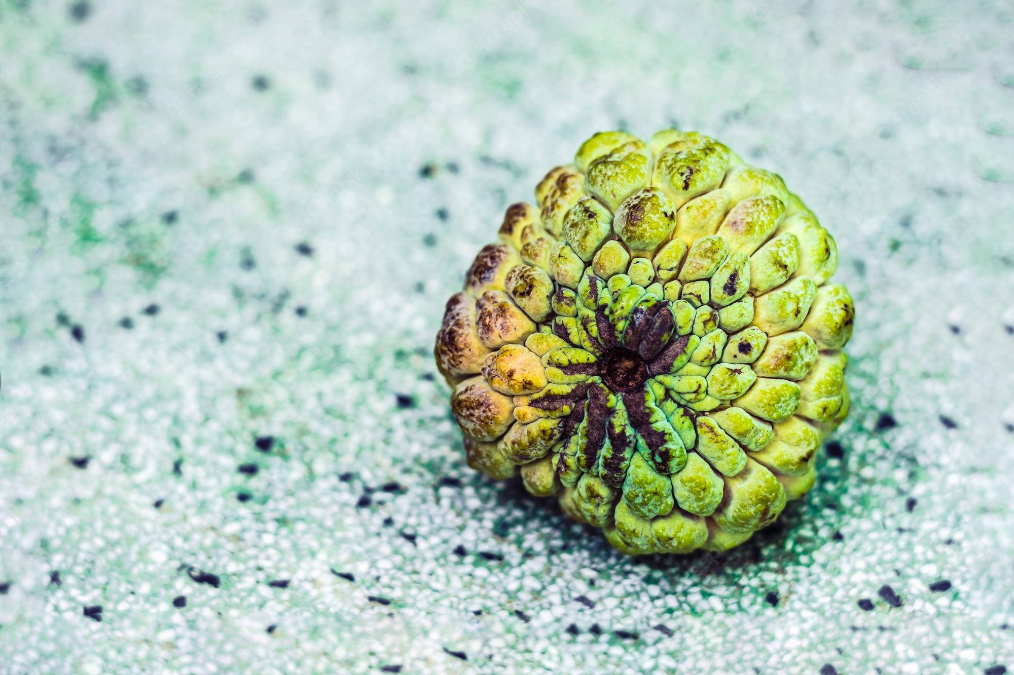 Sugar Apple, custard apple, textured green skin, Full HD Desktop Wallpaper