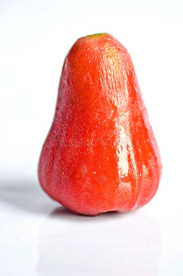 red rose apple, vibrant red rose, water droplets, SD Phone Wallpaper