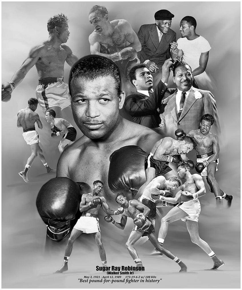Sugar Ray Robinson, black and white collage, boxing action shots, SD Phone Wallpaper
