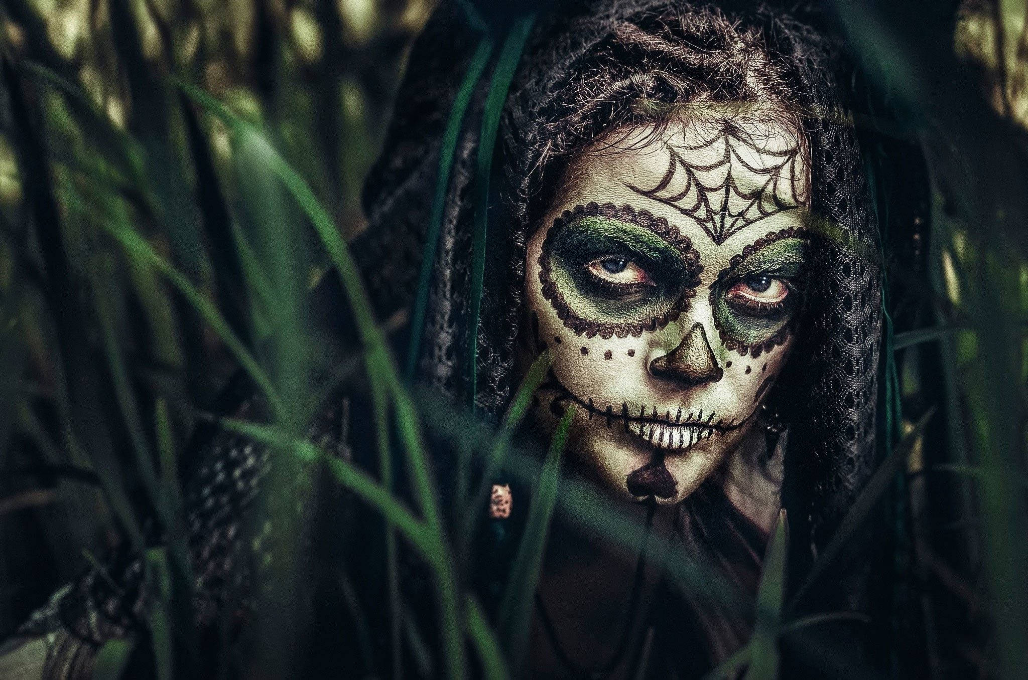 sugar skull, green and white sugar skull makeup, tall grass, Full HD Desktop Wallpaper