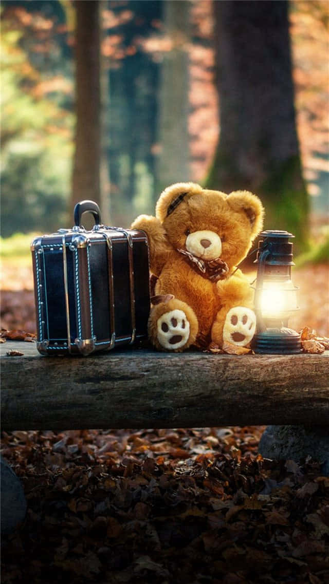 teddy bear, vintage suitcase, glowing lantern, SD Phone Wallpaper