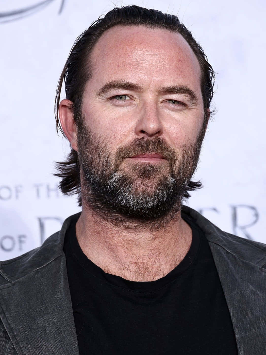 Sullivan Stapleton, red carpet, black shirt, HD Phone Wallpaper