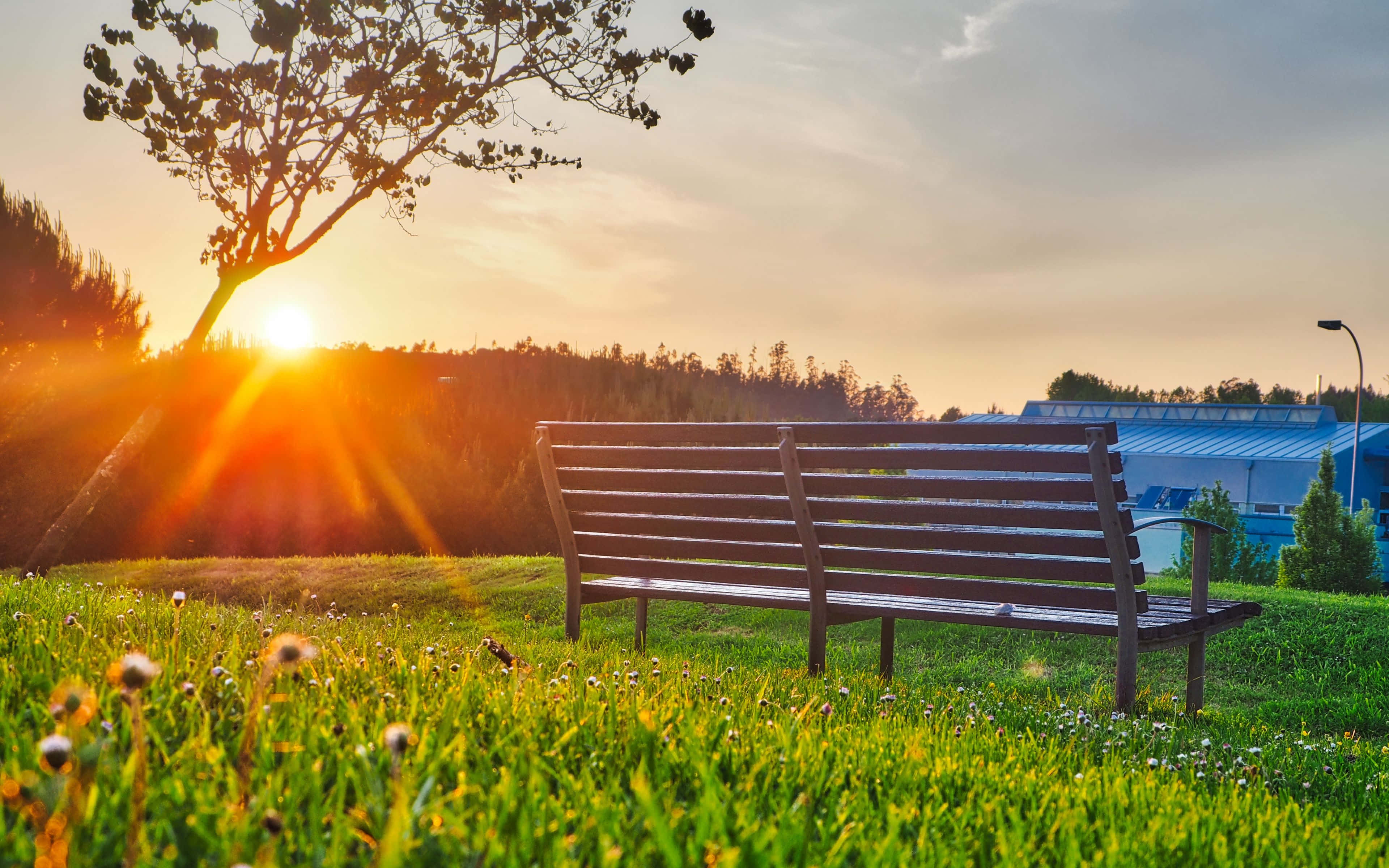 sunset, park bench, wooden bench, 4K Desktop Wallpaper