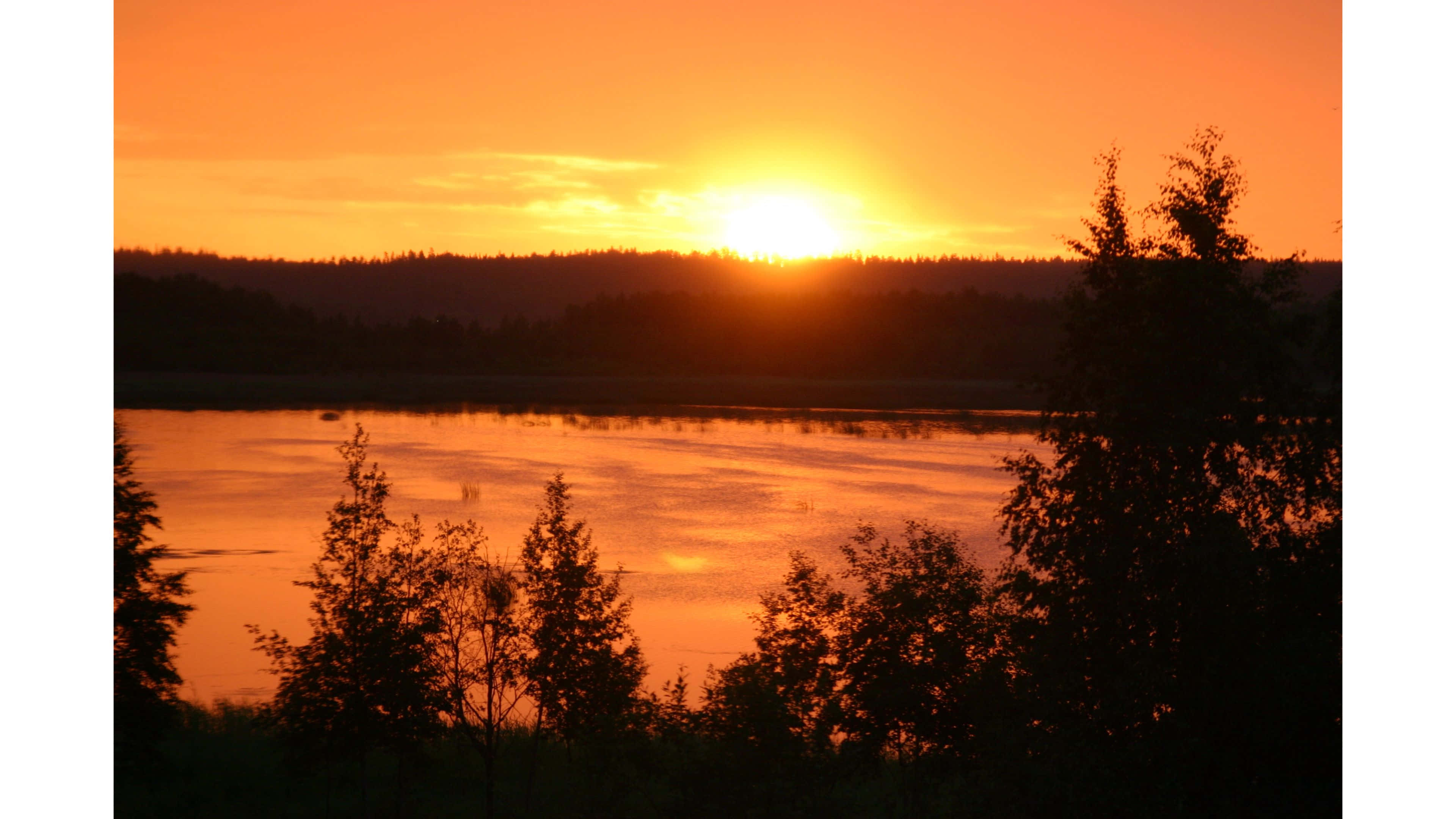 sunset silhouette, fiery orange sunset, forested hill, 4K Desktop Wallpaper