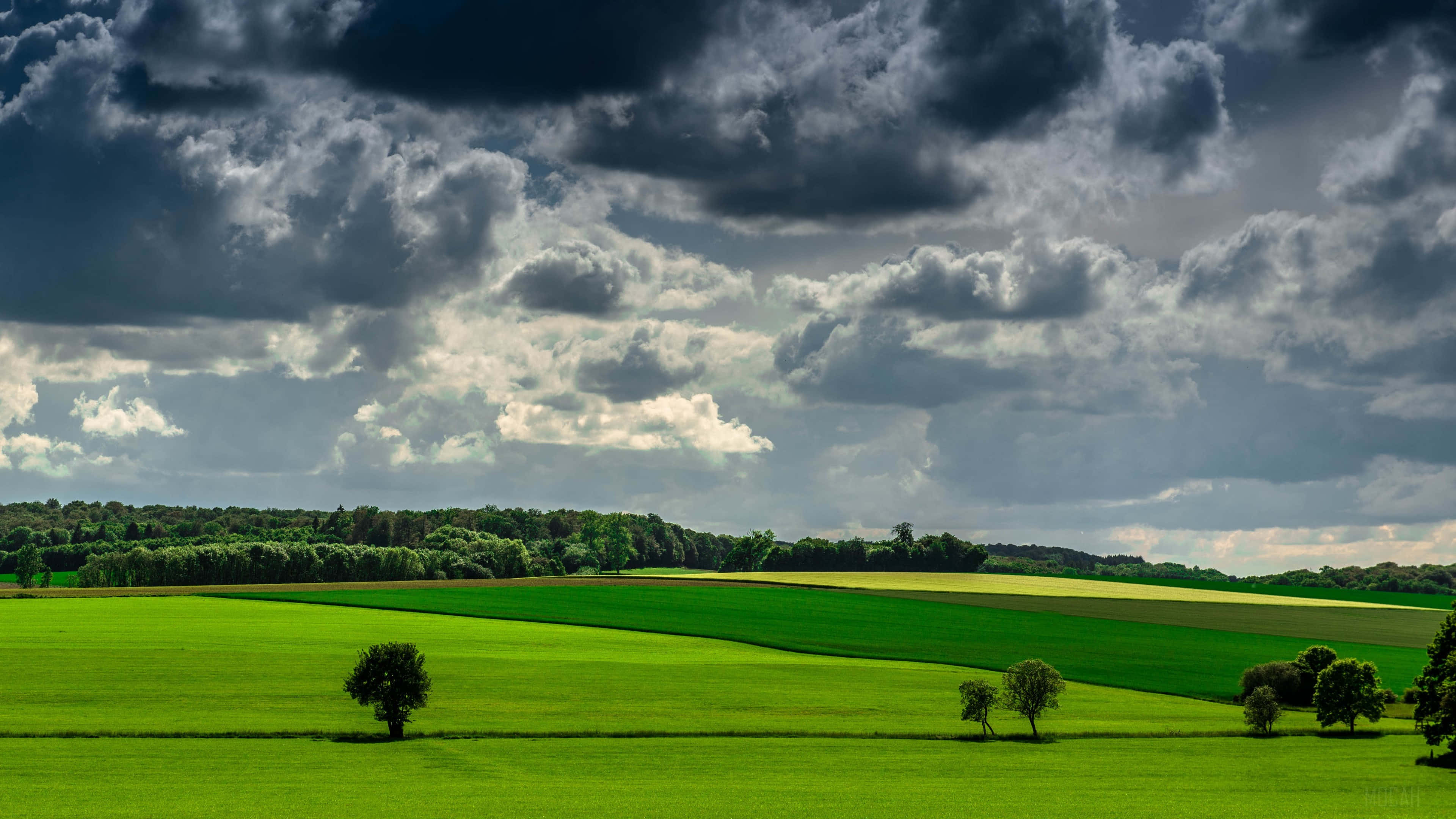 dramatic summer sky, green fields, emerald fields, 4K Desktop Wallpaper