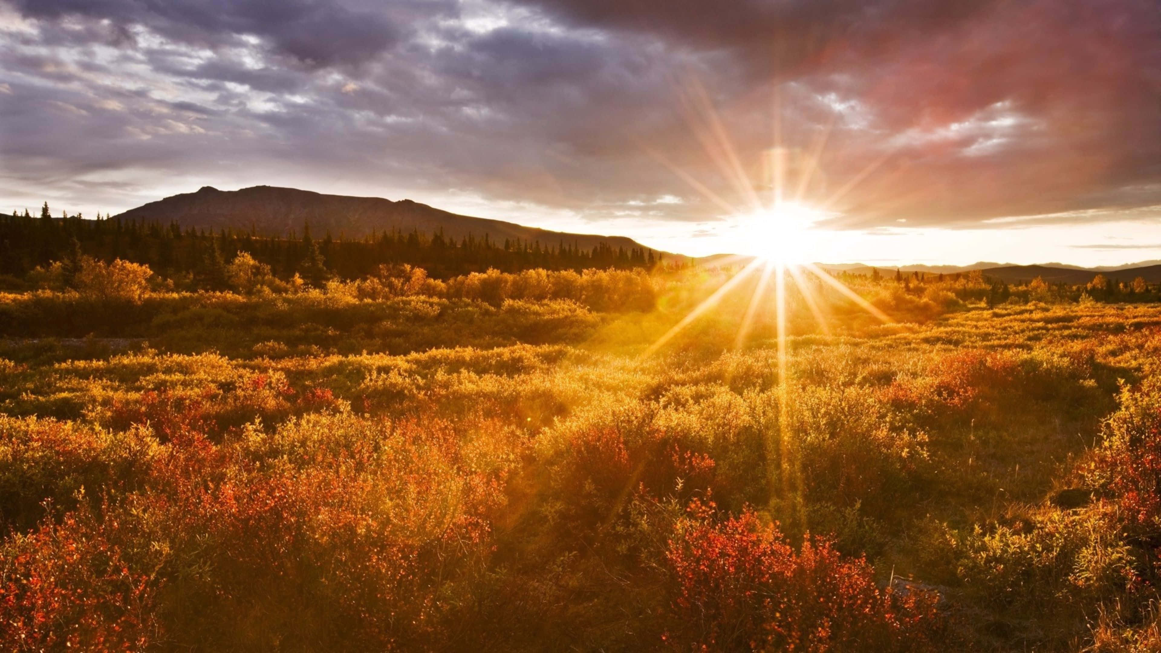 sunset, mountain meadow, golden autumn tundra, 4K Desktop Wallpaper