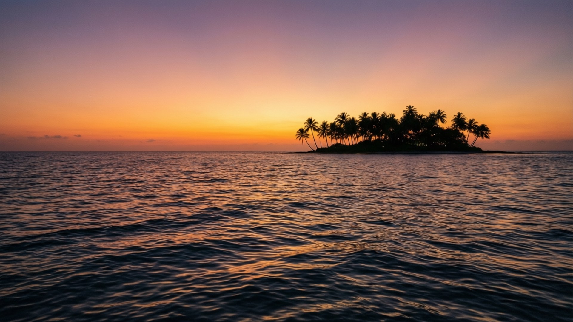 sunset, ocean, palm silhouettes, Full HD Desktop Wallpaper