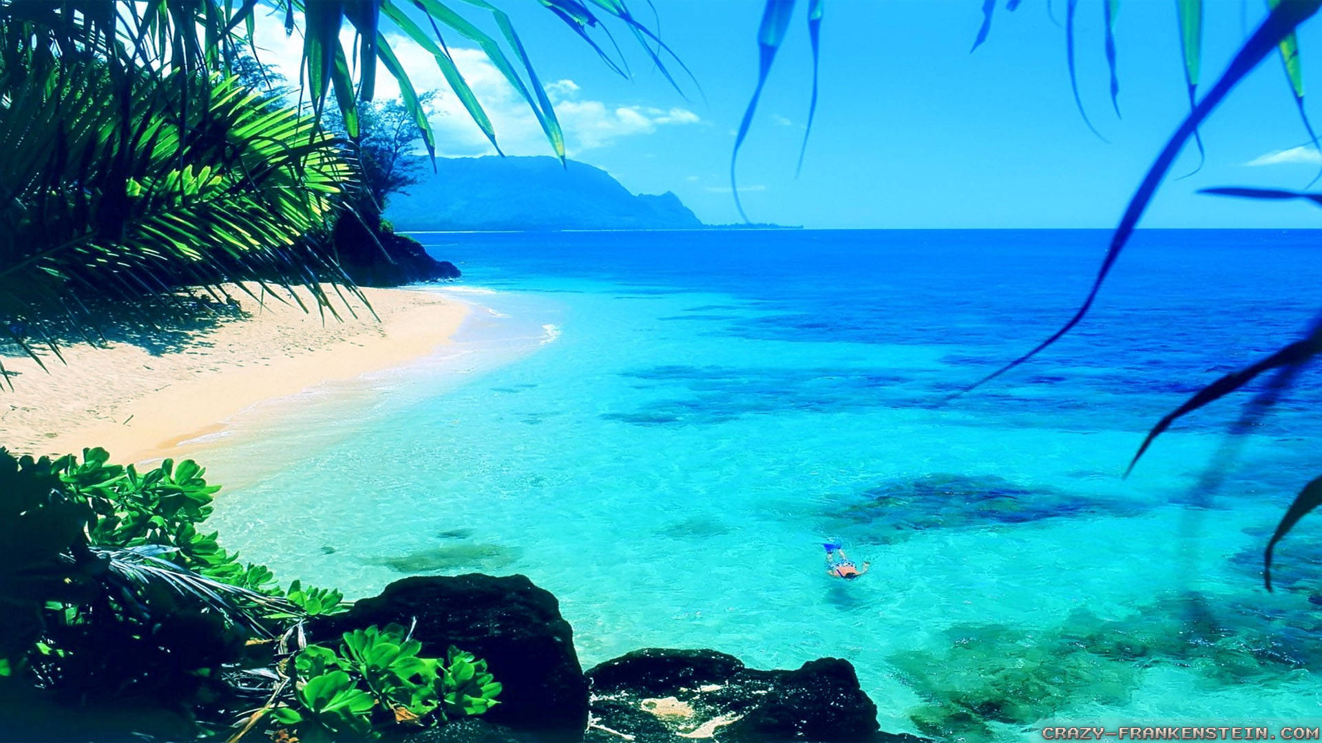 tropical beach, turquoise waters, lush green palm fronds, Full HD Desktop Wallpaper
