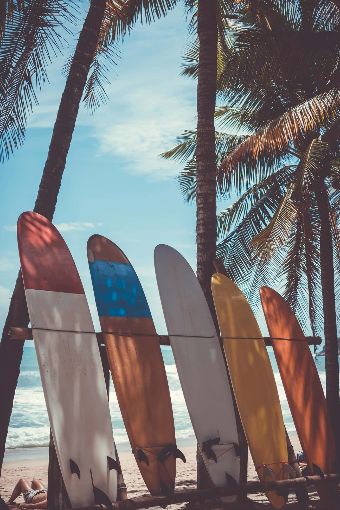 tropical surfboard lineup, palm trees, sunny beach, Full HD Phone Wallpaper