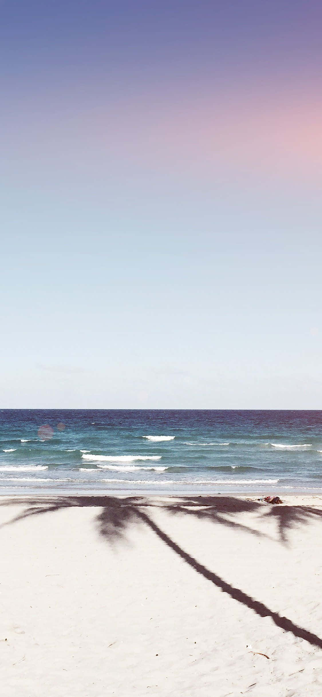Summer Beach iPhone, palm tree shadow, tropical beach, Full HD Phone Wallpaper