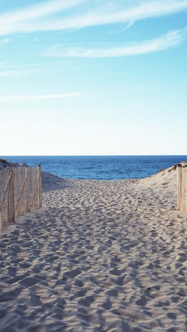 Summer Beach iPhone, wooden fence, sandy path, HD Phone Wallpaper