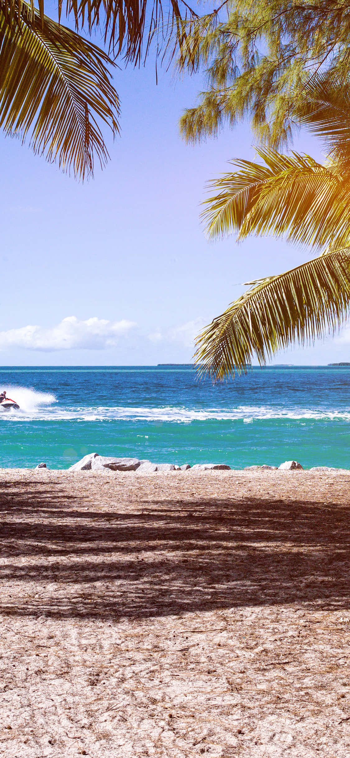 summer beach iPhone, palm fronds, sunlit beach, Full HD Phone Wallpaper