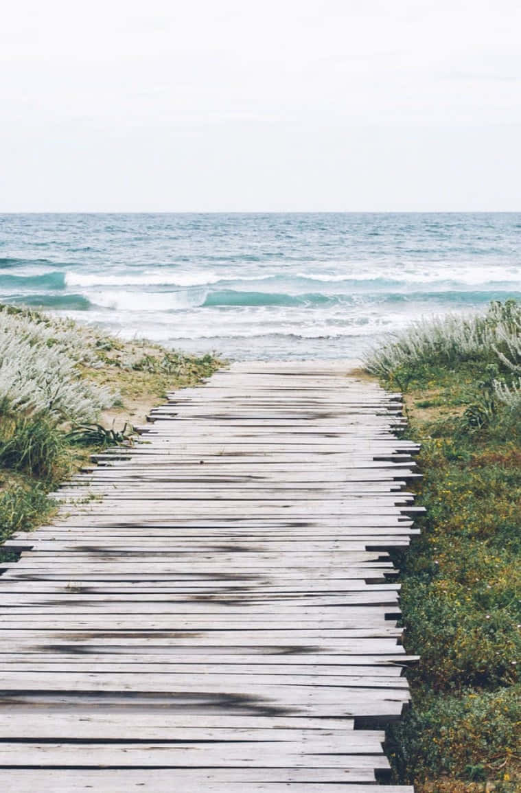 summer beach iPhone, wooden boardwalk, coastal grasses, SD Phone Wallpaper