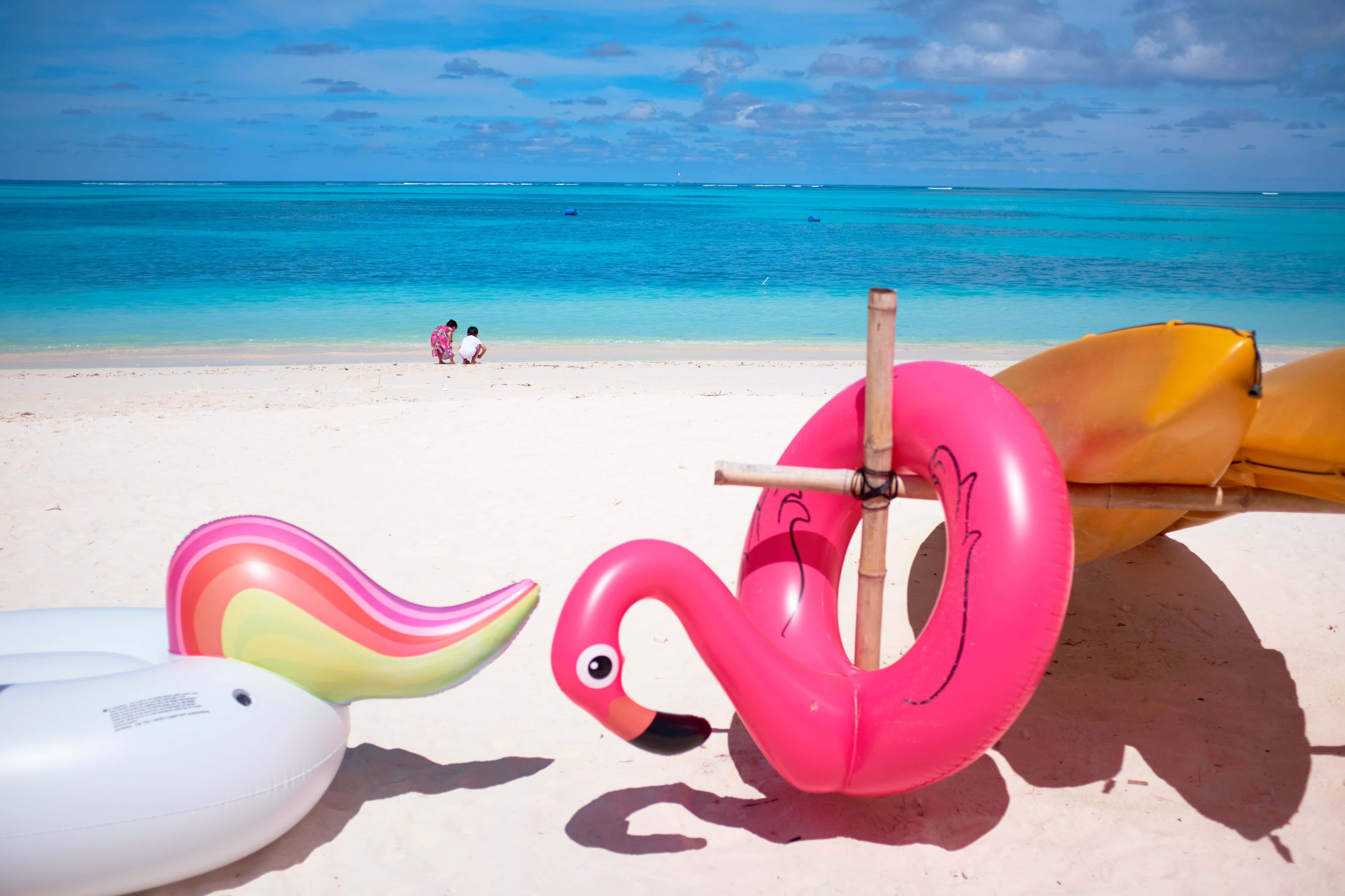 pink flamingo float, rainbow raft, pristine white sand, 4K Desktop Wallpaper