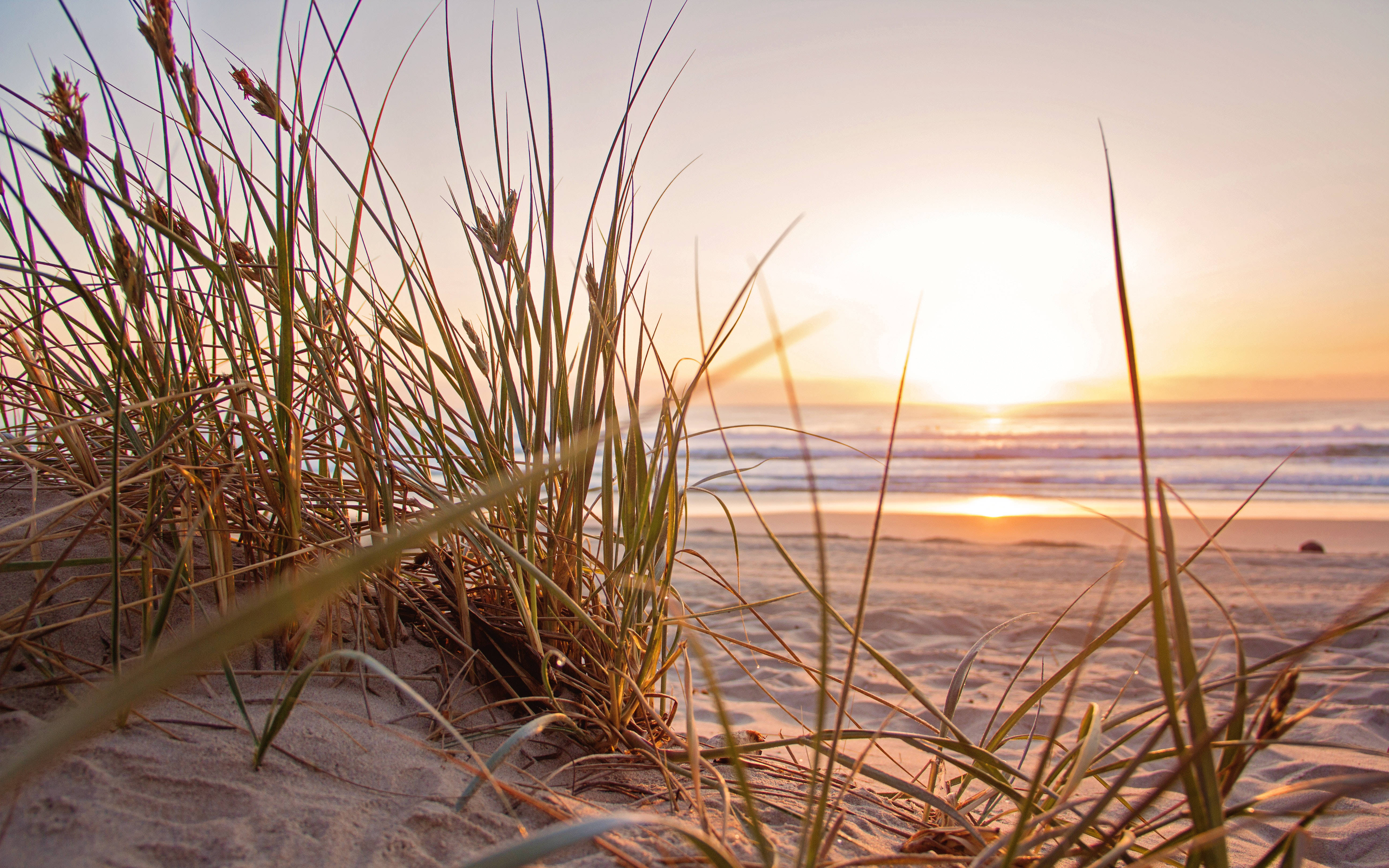 Golden beach grass, sun sets over ocean waves, soft warm light, 5K Desktop Wallpaper