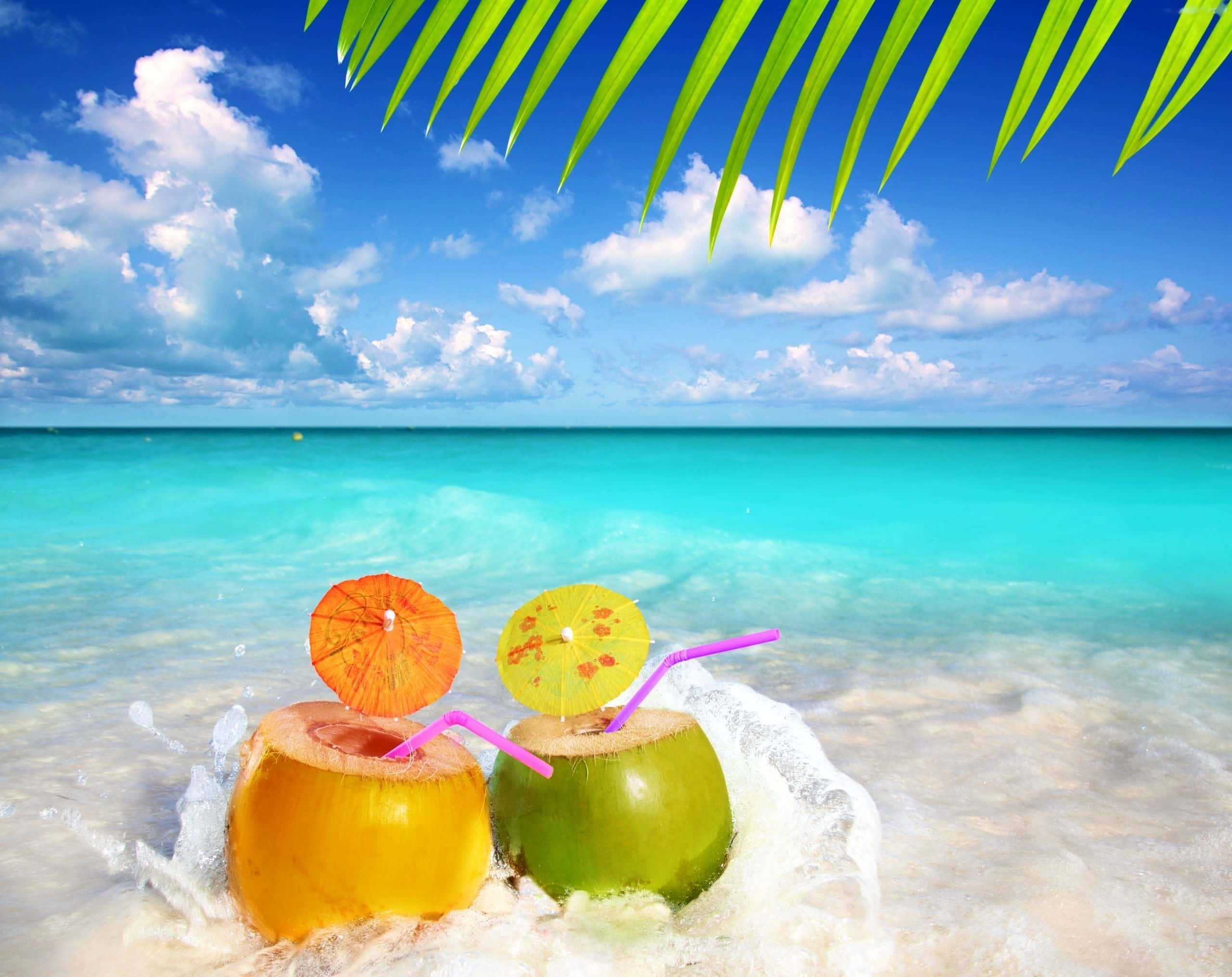 tropical coconuts, colorful umbrellas, straws, 2K Desktop Wallpaper