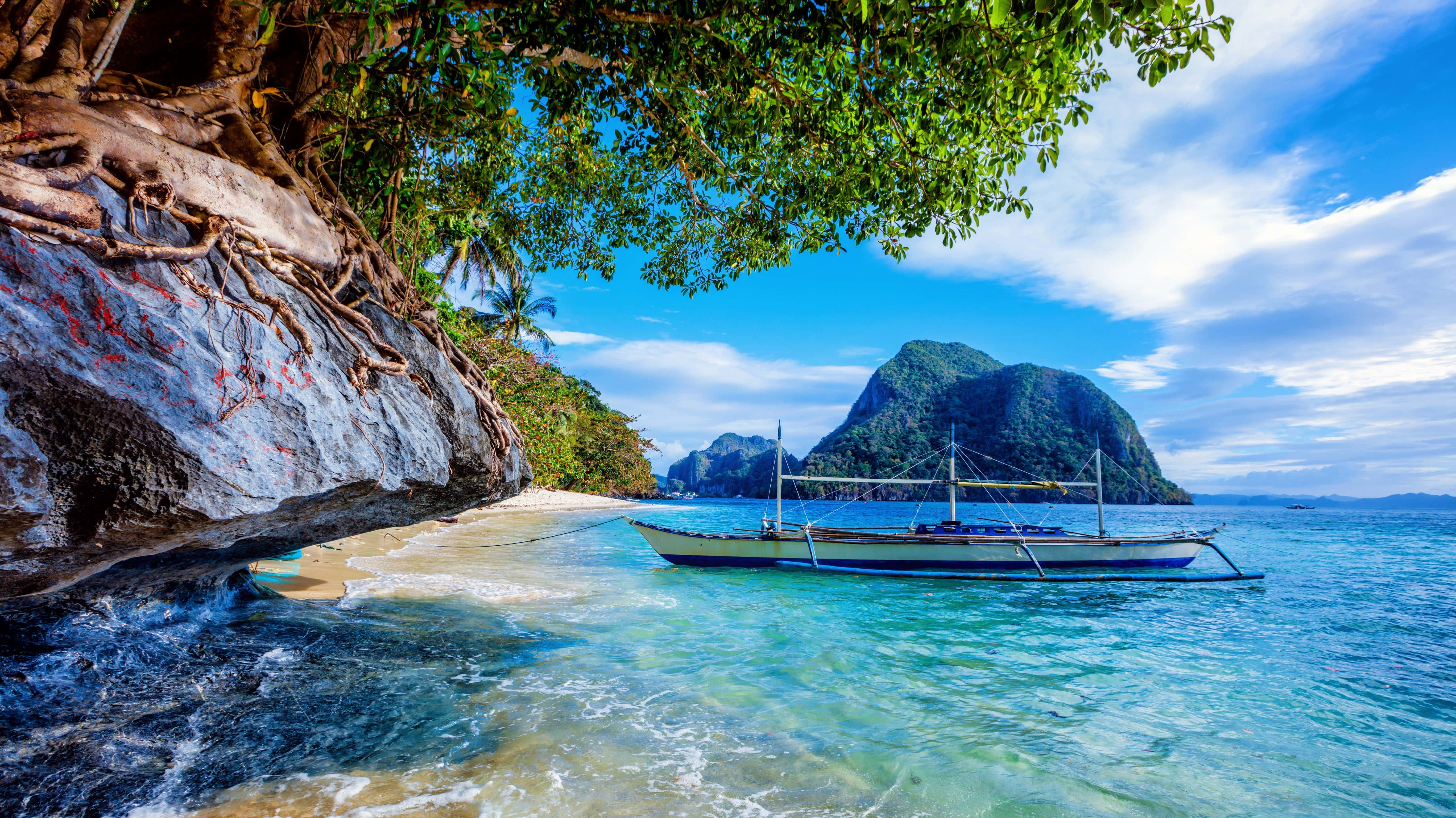 tropical beach, turquoise waters, sandy cove, 5K Desktop Wallpaper