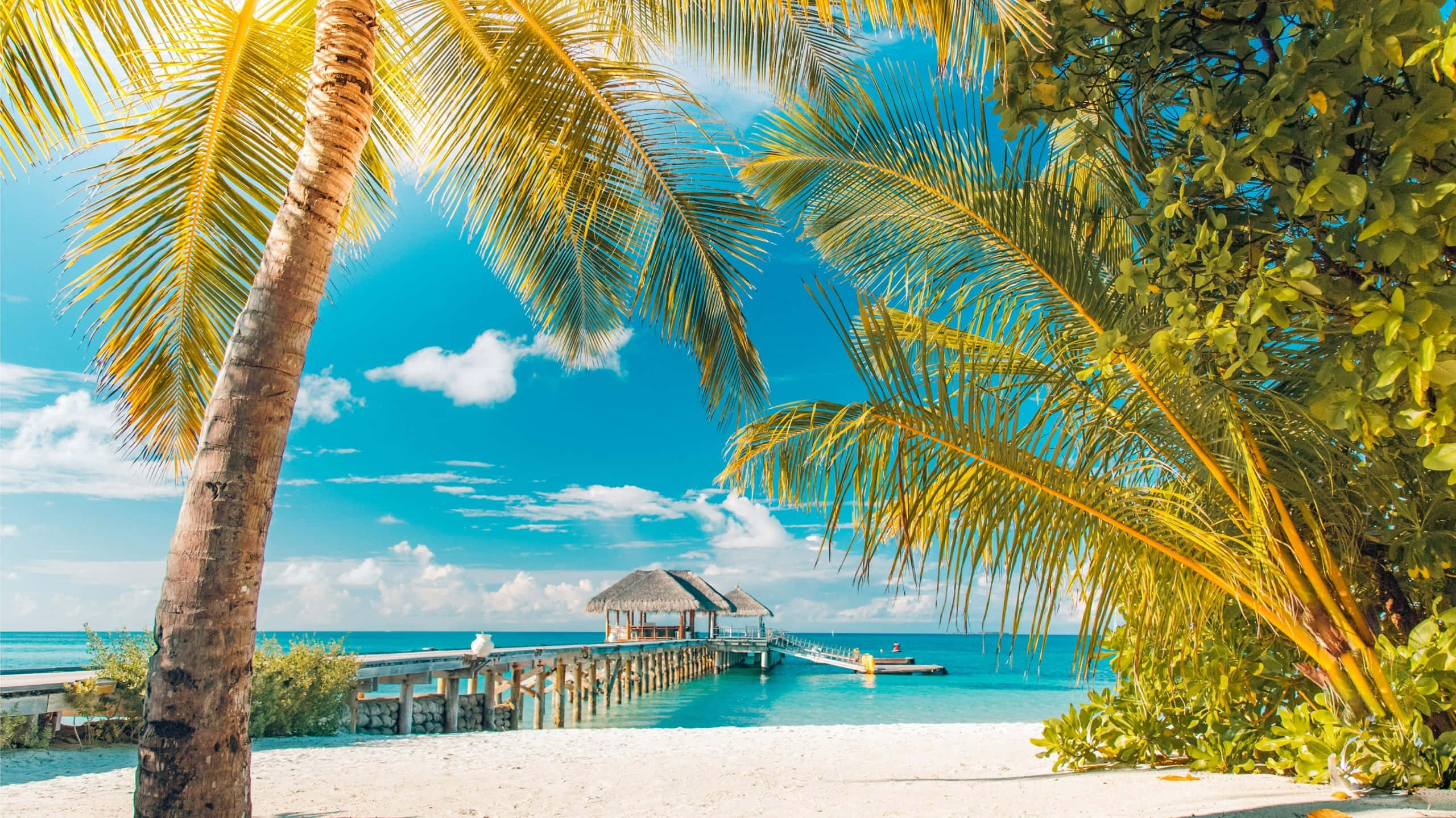 tropical beach paradise, palm trees, wooden pier, 2K Desktop Wallpaper