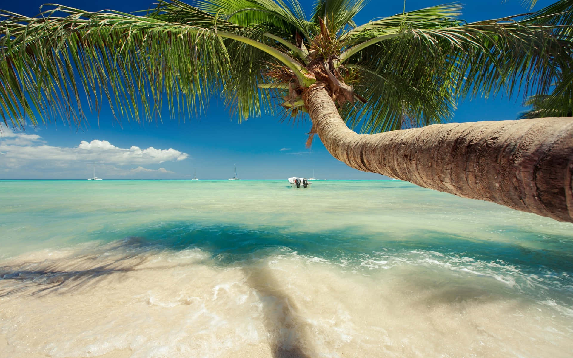 breathtaking sunset, serene summer beach, tropical beach scene, Full HD Desktop Wallpaper