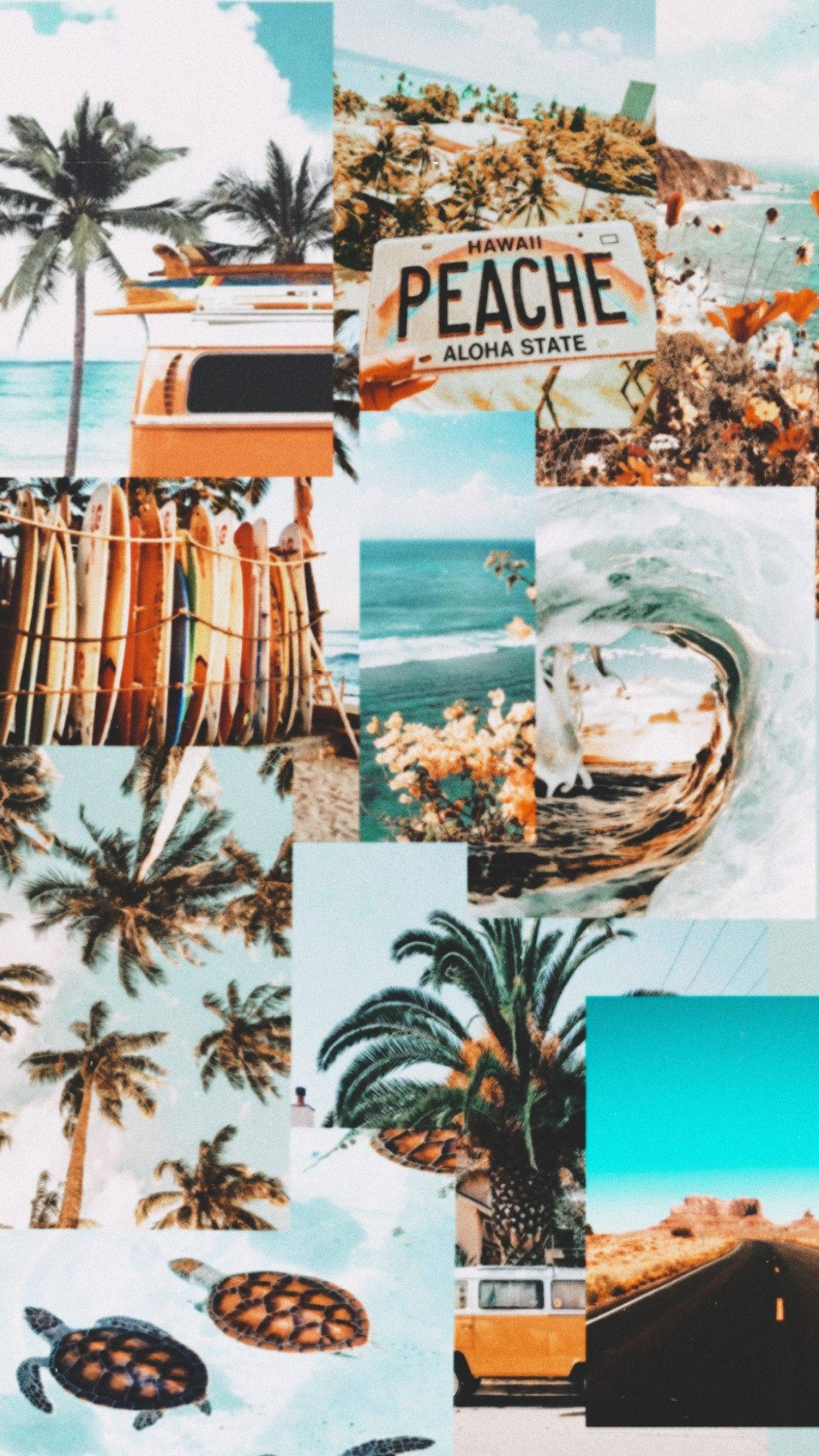 Palm trees, Ocean waves, Surfboards, Full HD Phone Wallpaper