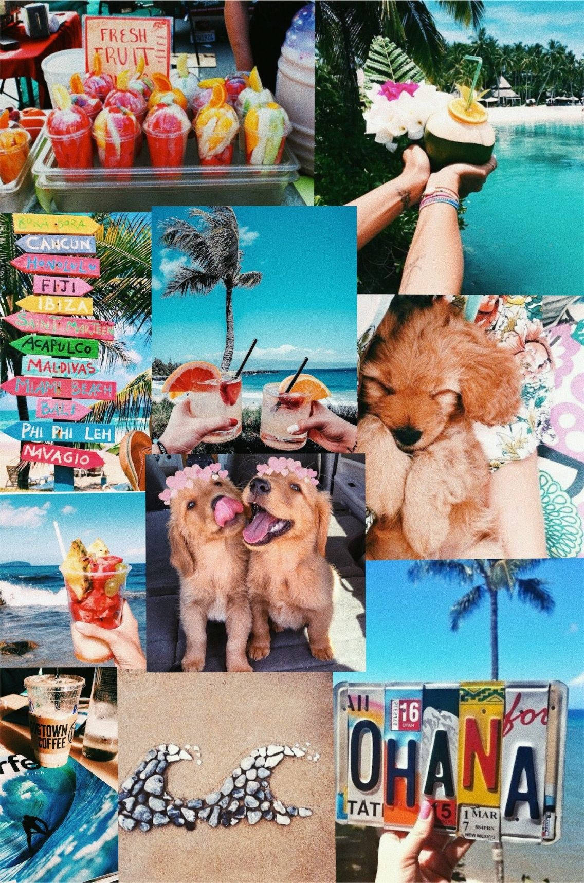 puppies, flower crowns, cocktails, HD Phone Wallpaper