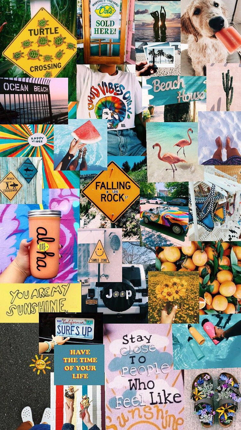 flamingos, watermelon signs, colorful cars, HD Phone Wallpaper