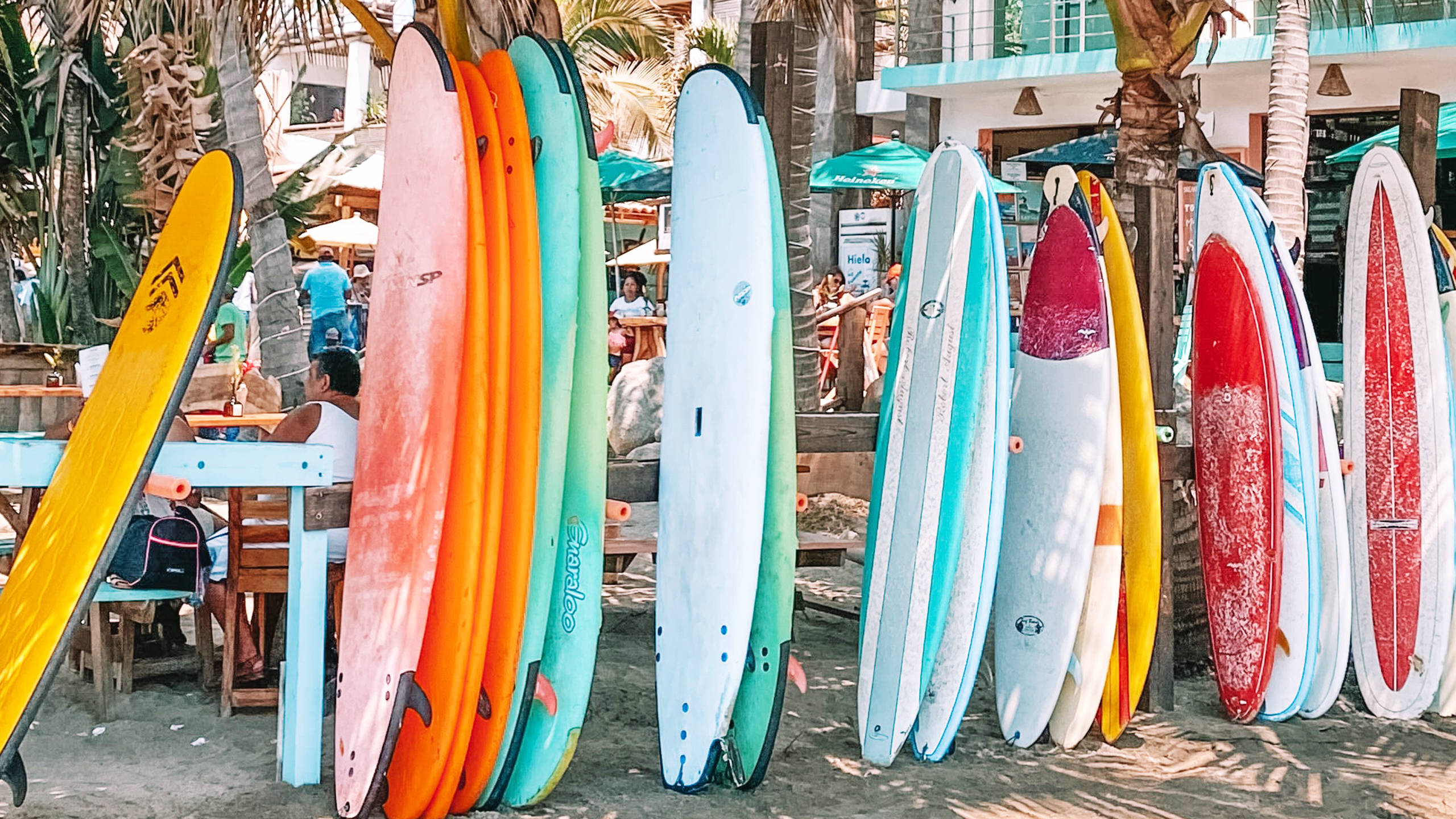 2560x1440, summer surfboard rack, palm trees, 2K Desktop Wallpaper