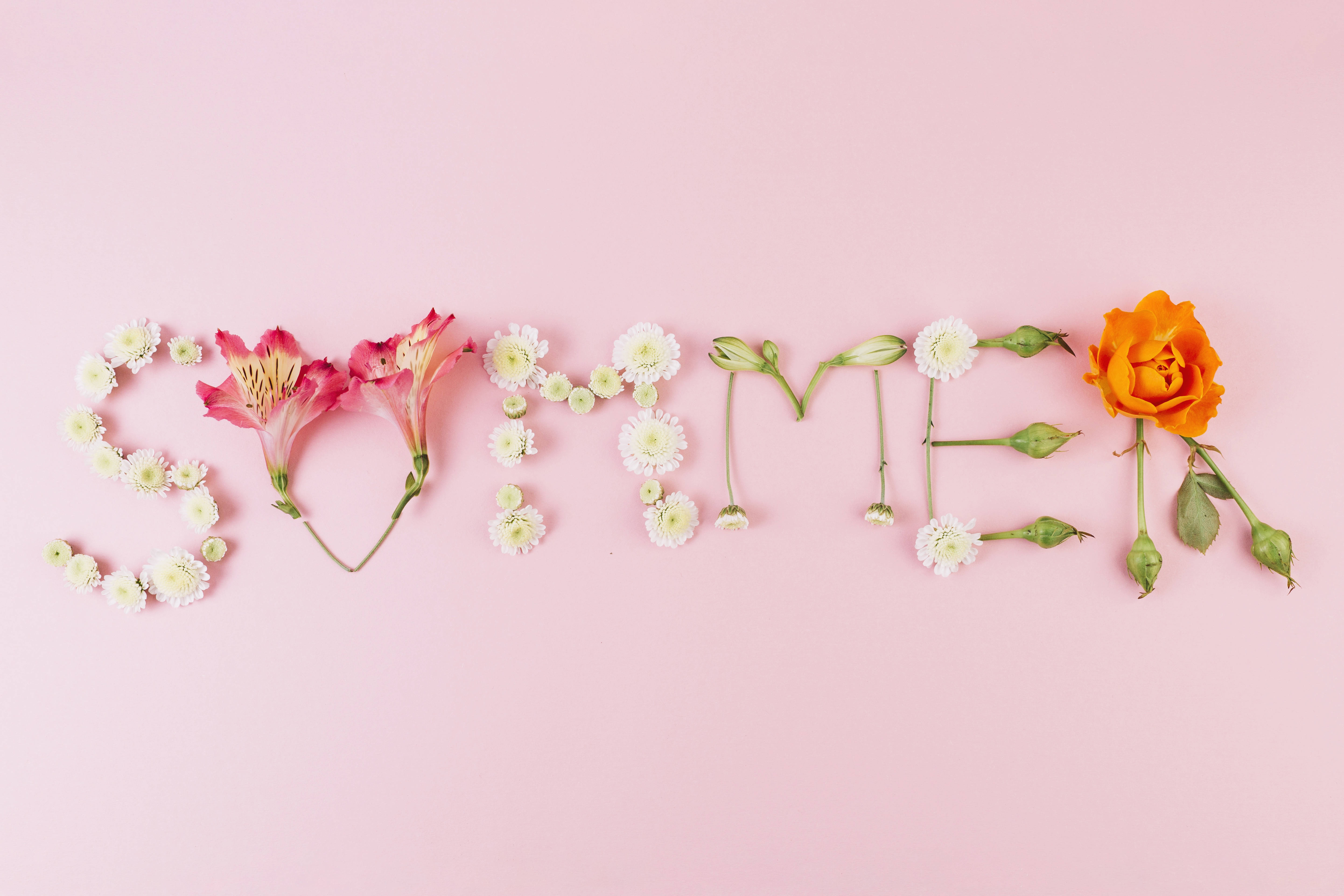 pink floral summer desktop, summer, flowers, 5K Desktop Wallpaper