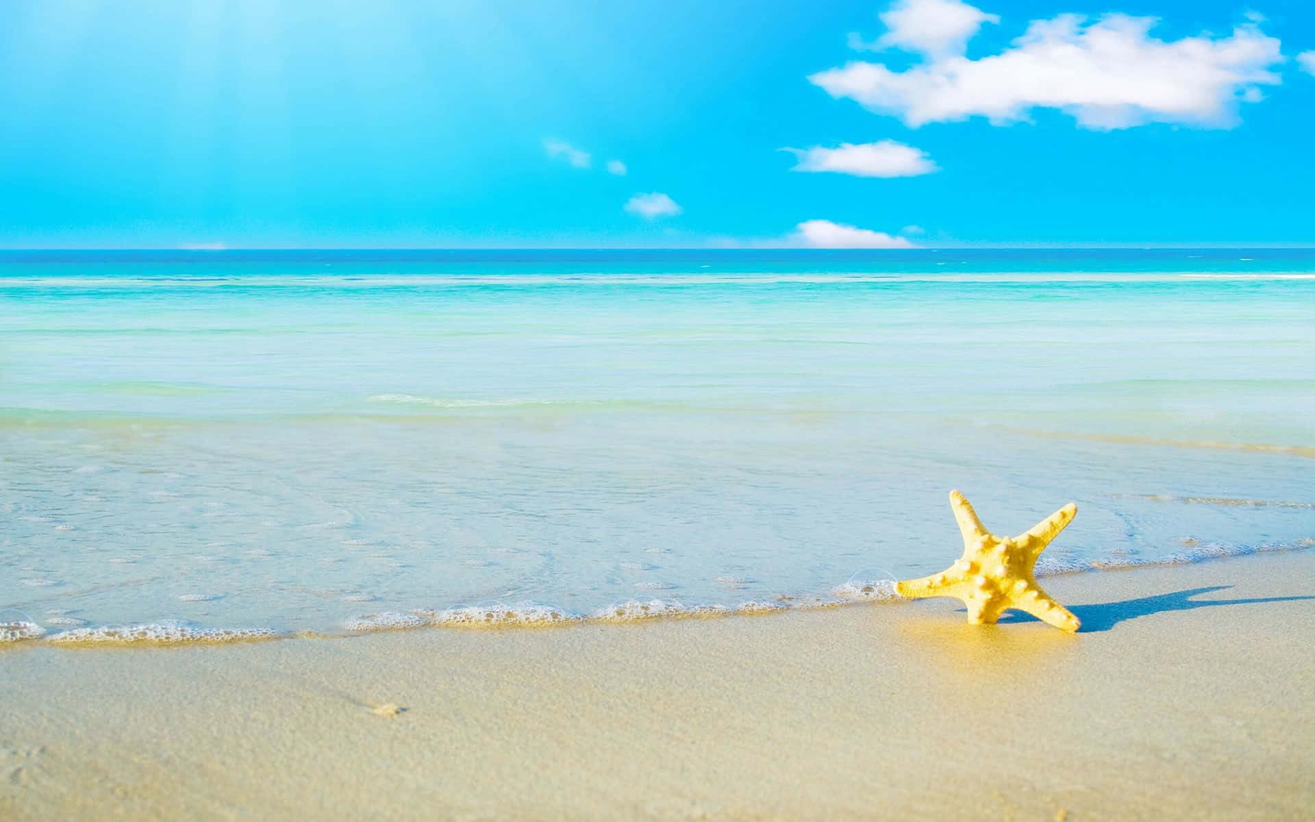 bright yellow starfish, golden sand, turquoise ocean waves, Full HD Desktop Wallpaper