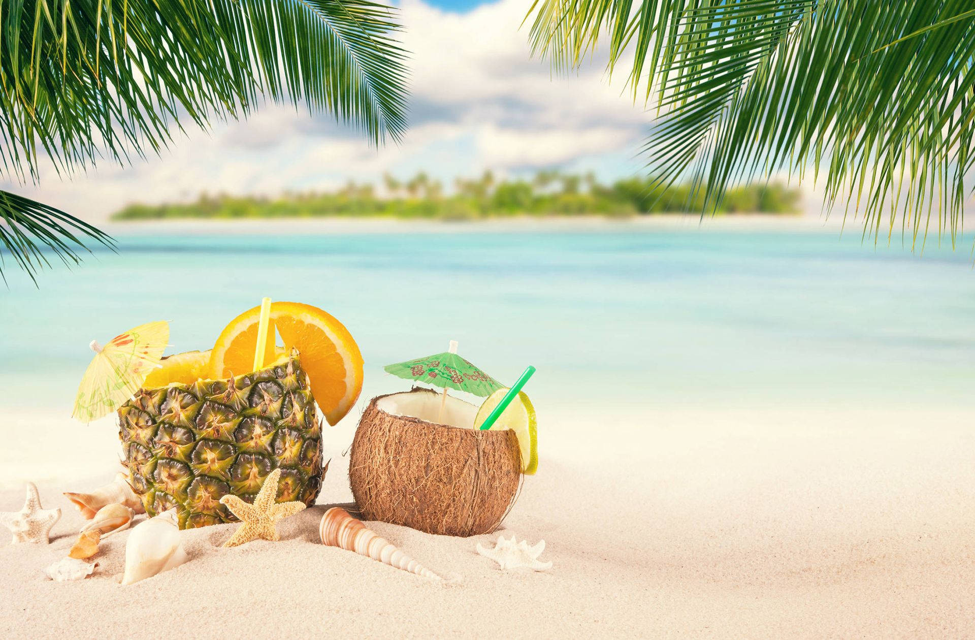 pineapple, coconut, palm fronds, Full HD Desktop Wallpaper